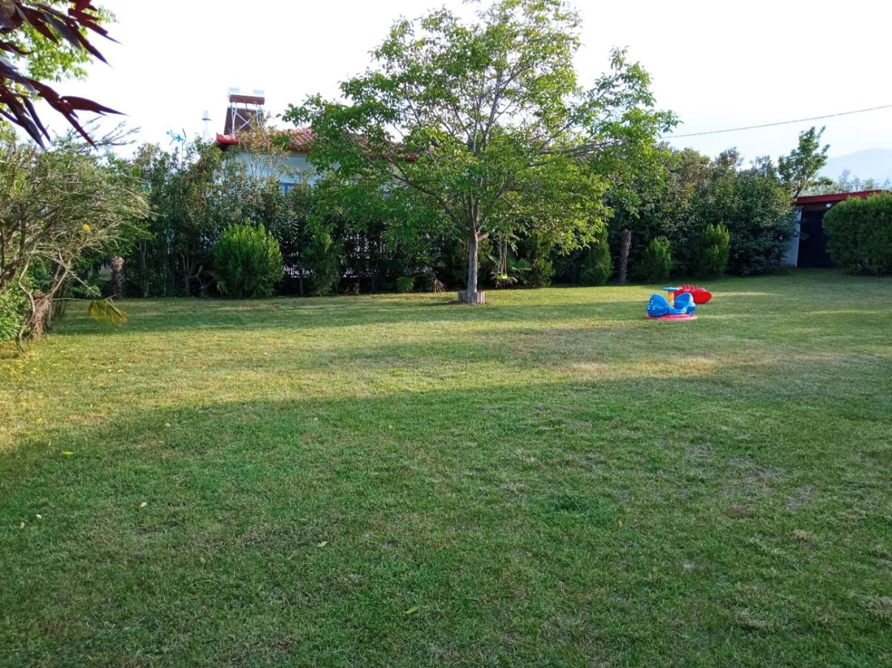 Photo 32