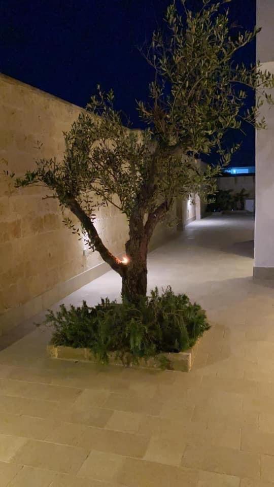 VILLA FRANCESCA
