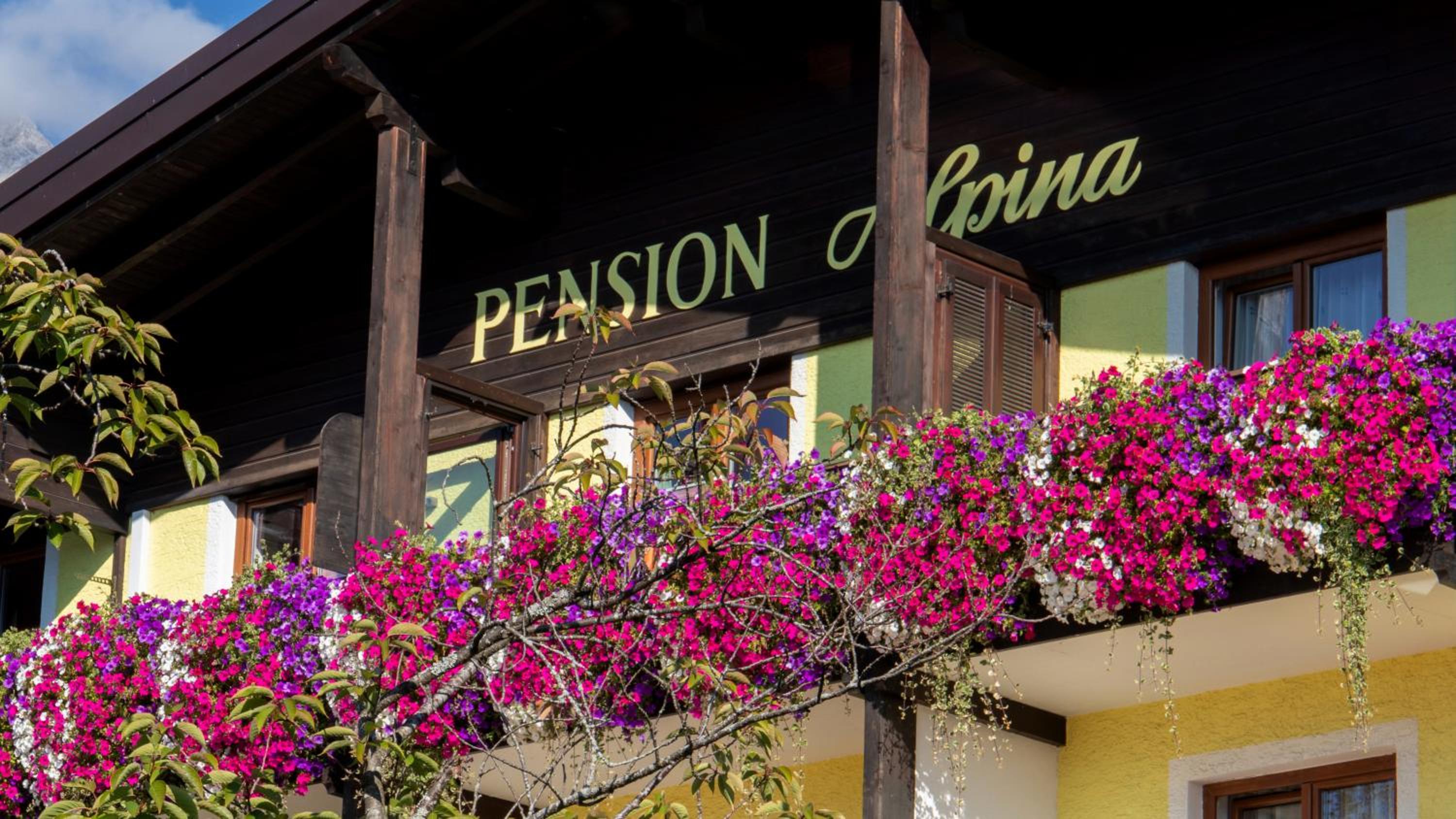 Café Pension Alpina