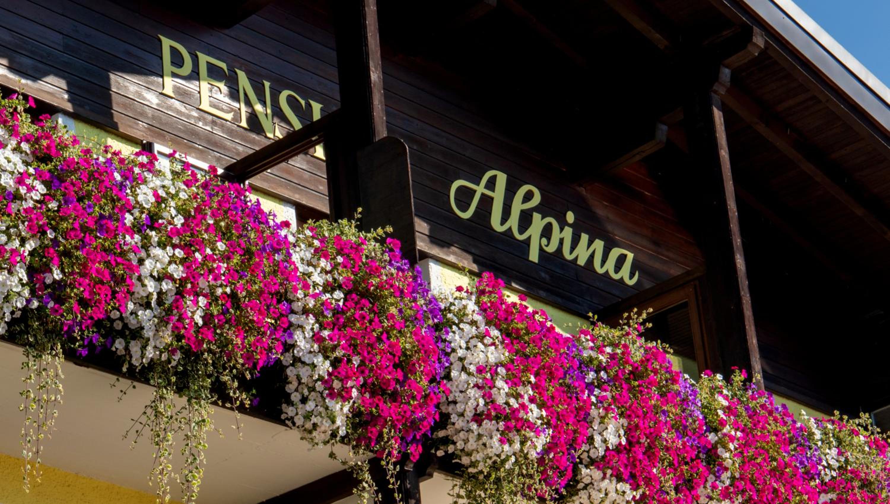 Café Pension Alpina