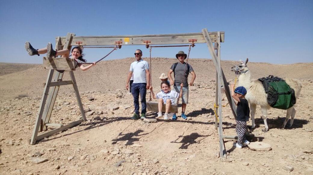 Alpaca Farm - חוות האלפקות