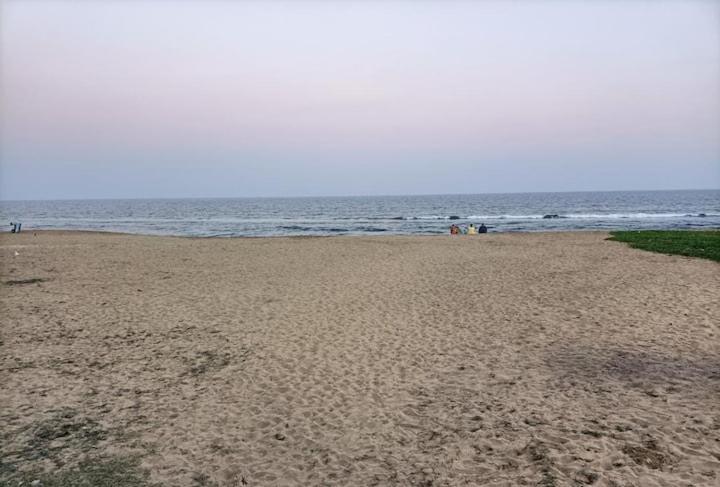 Photo 42