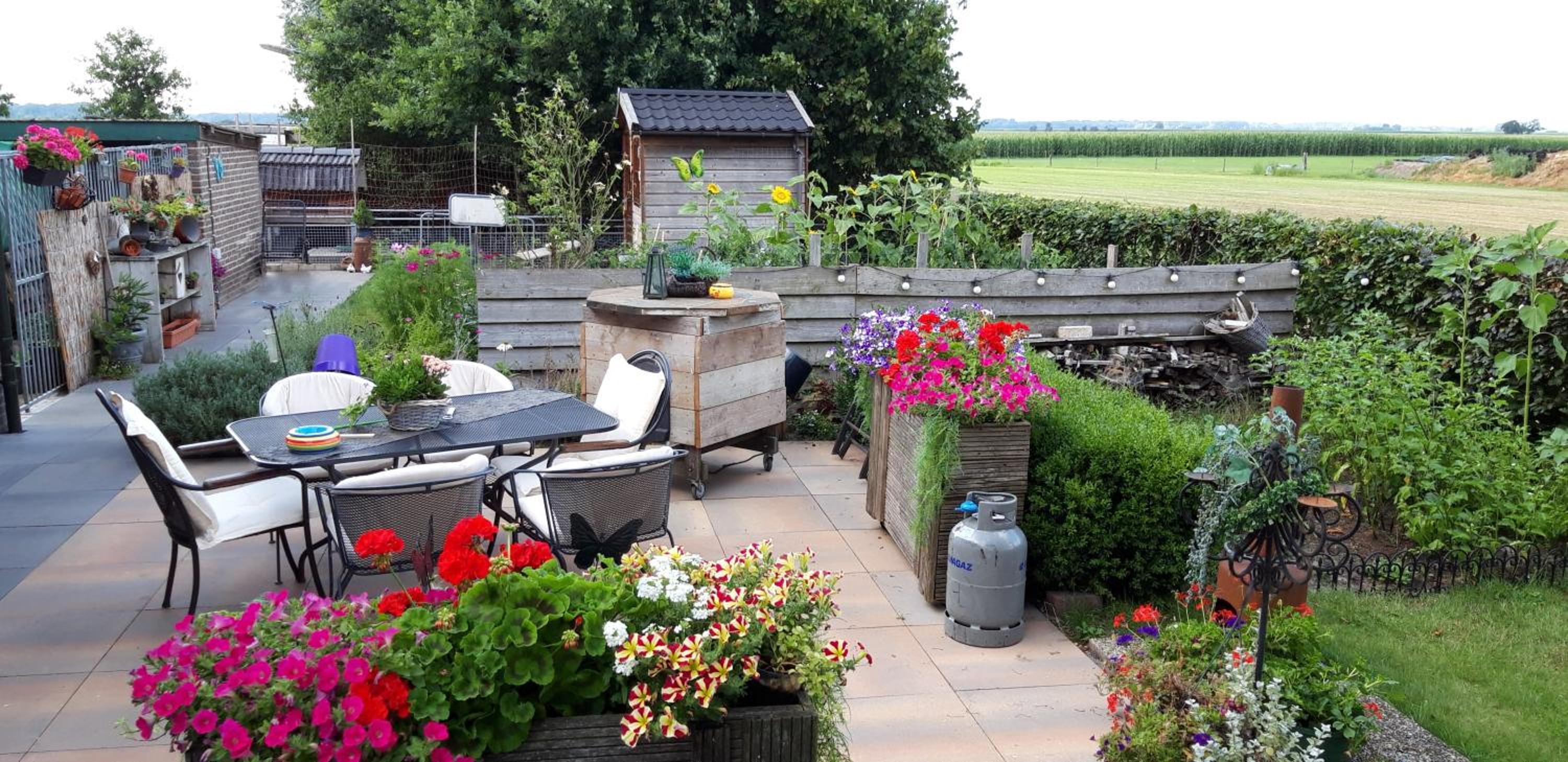 B&B Veluwemeerpension view 3