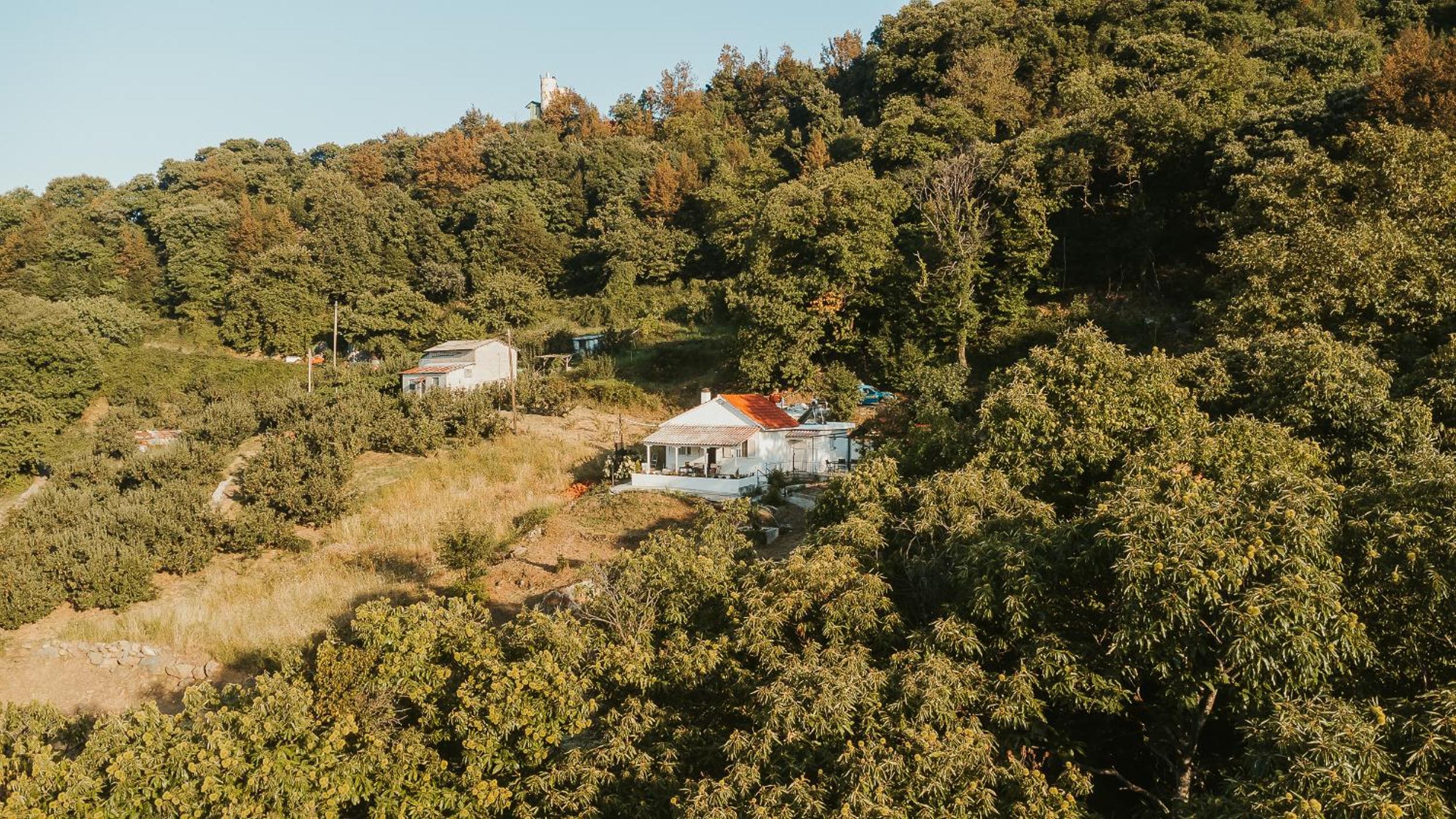 Little Villa
