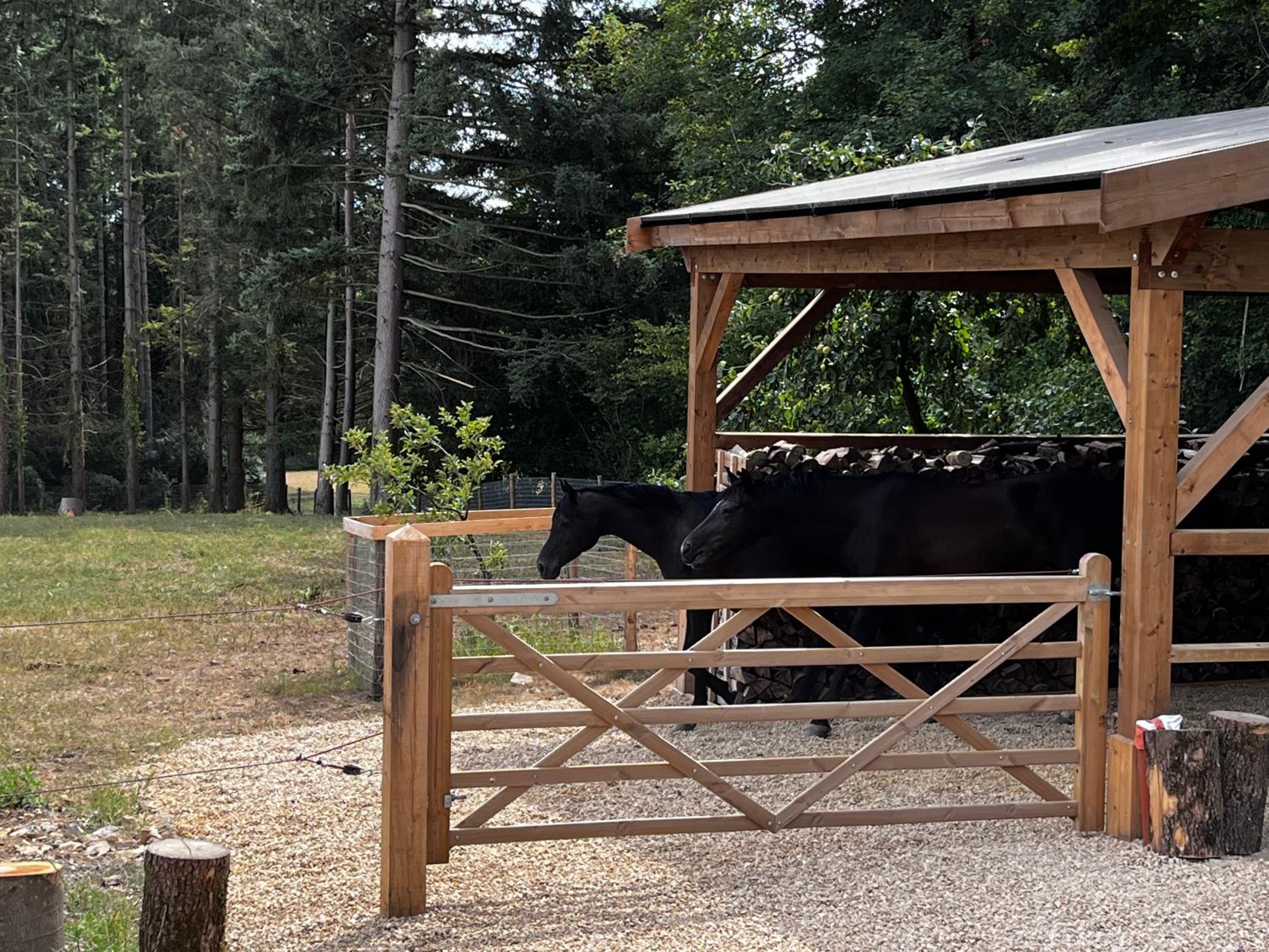 Enjoy Eco Lodge