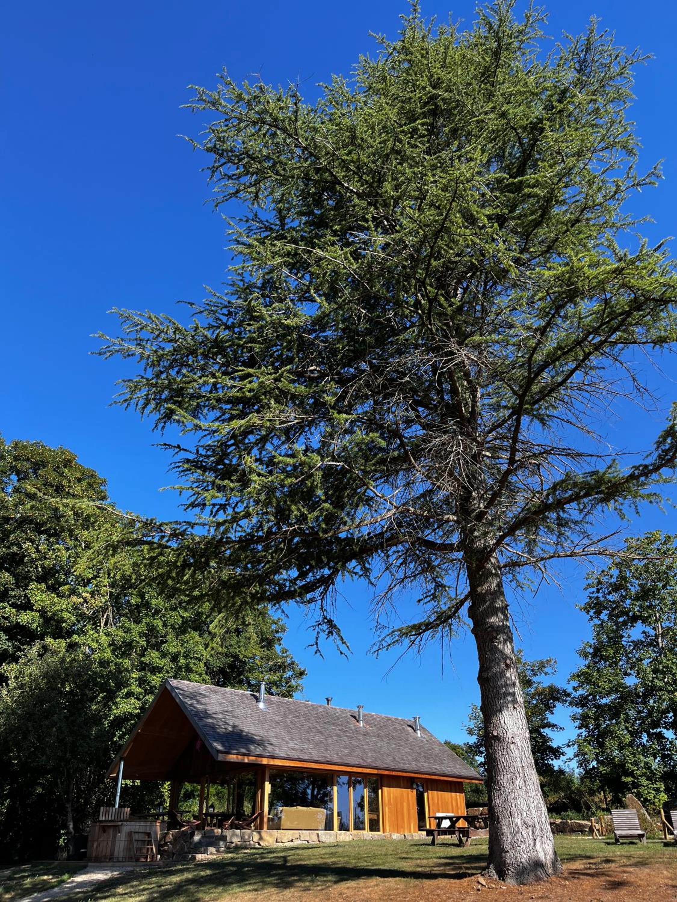 Enjoy Eco Lodge