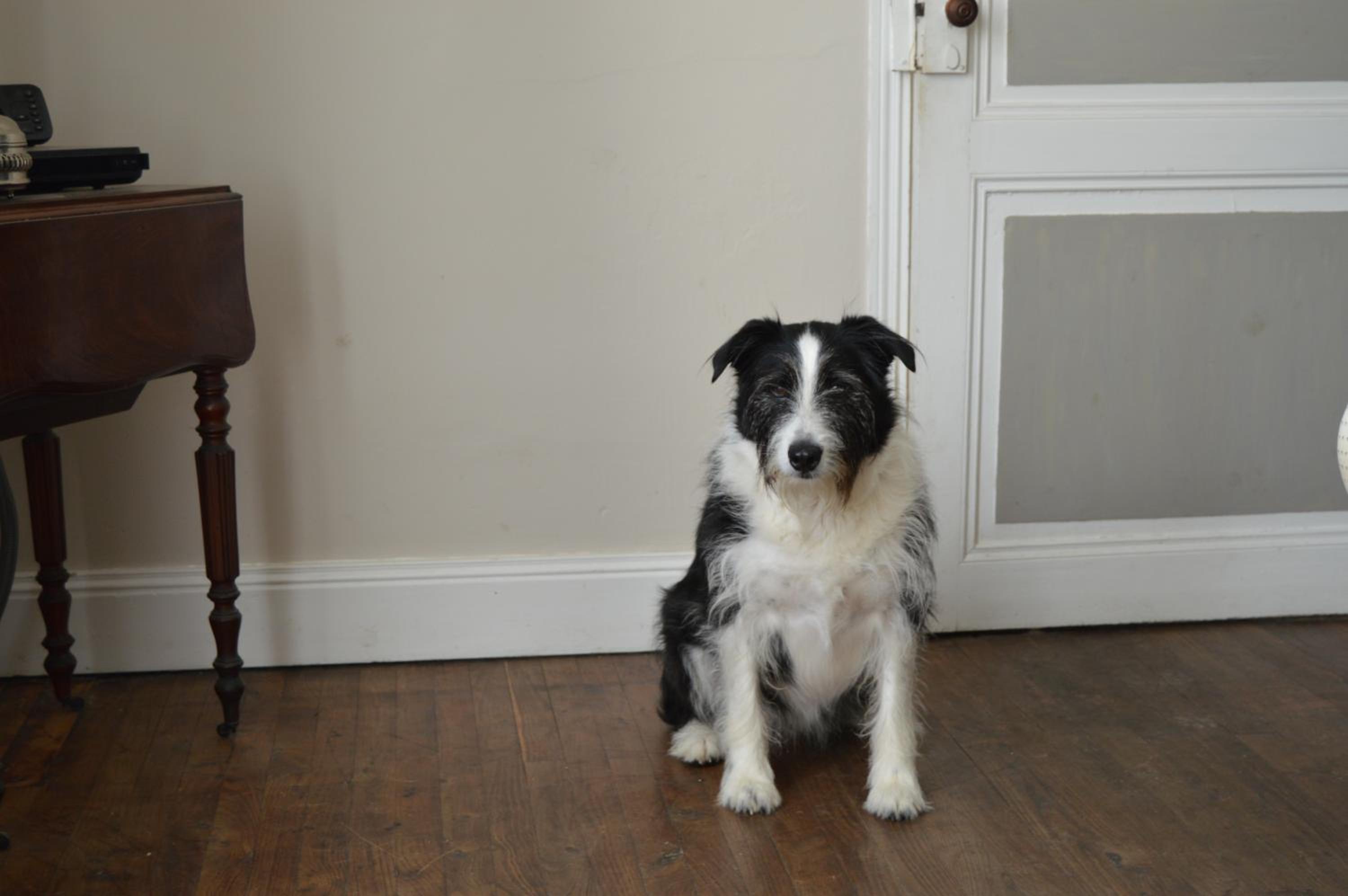Photo 26