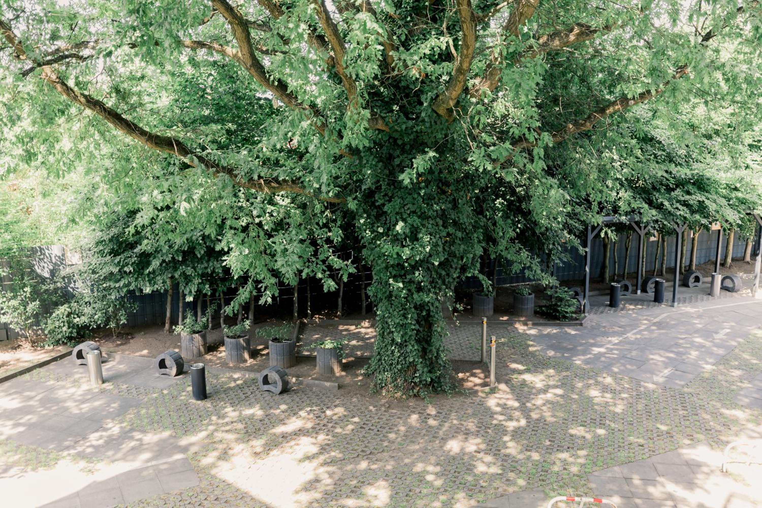 Photo 7