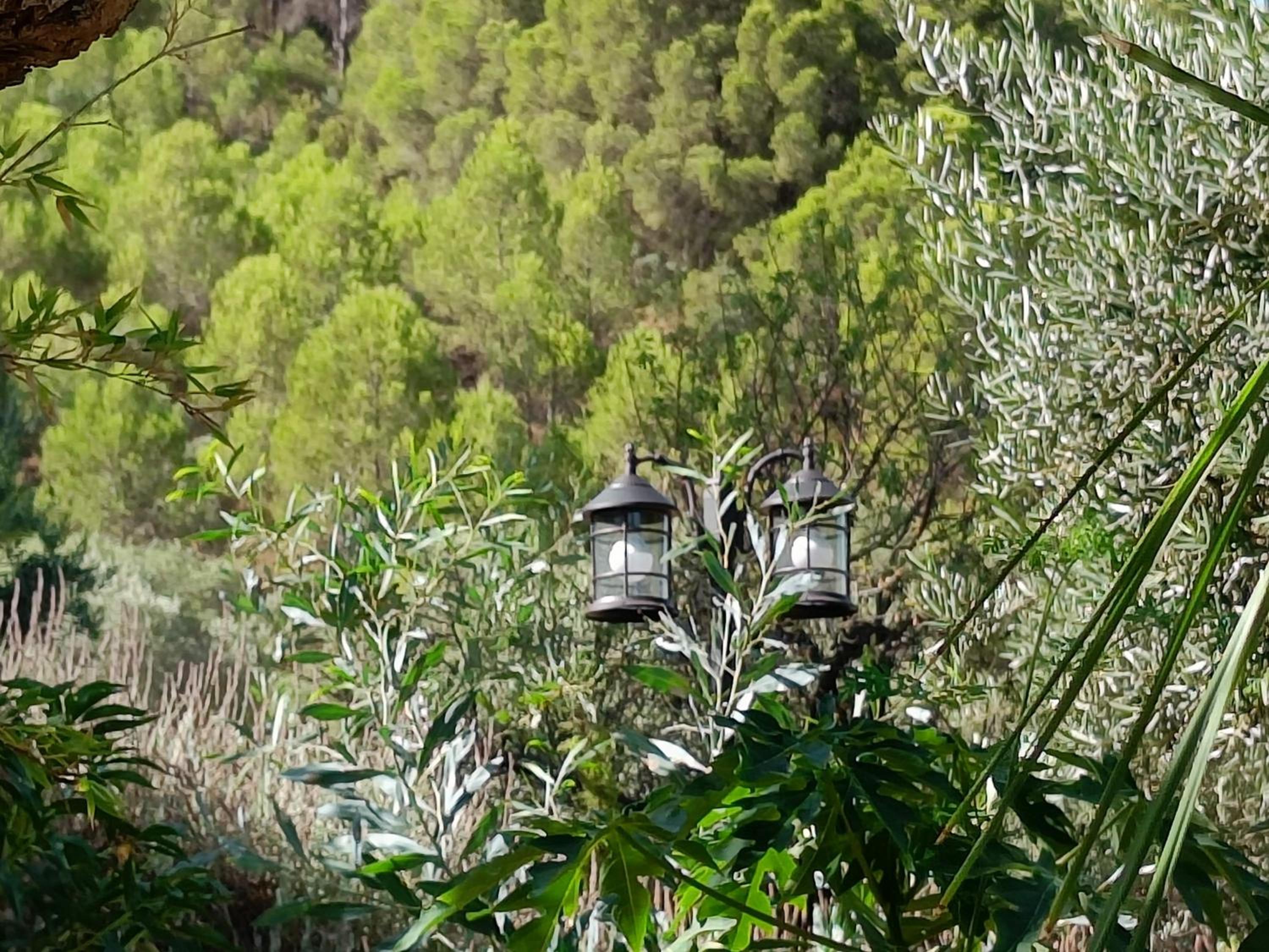 Casa Serenity