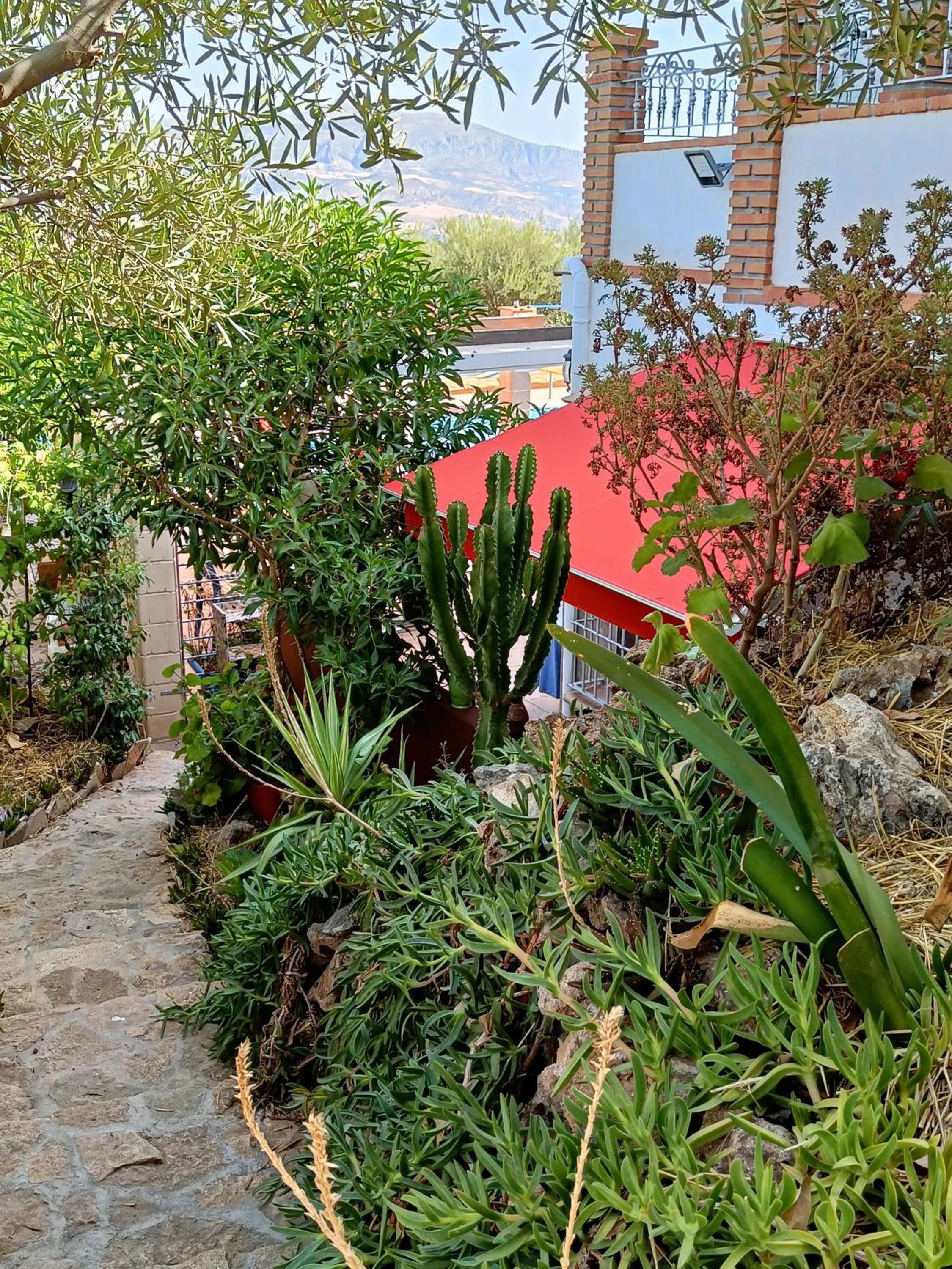 Casa Serenity