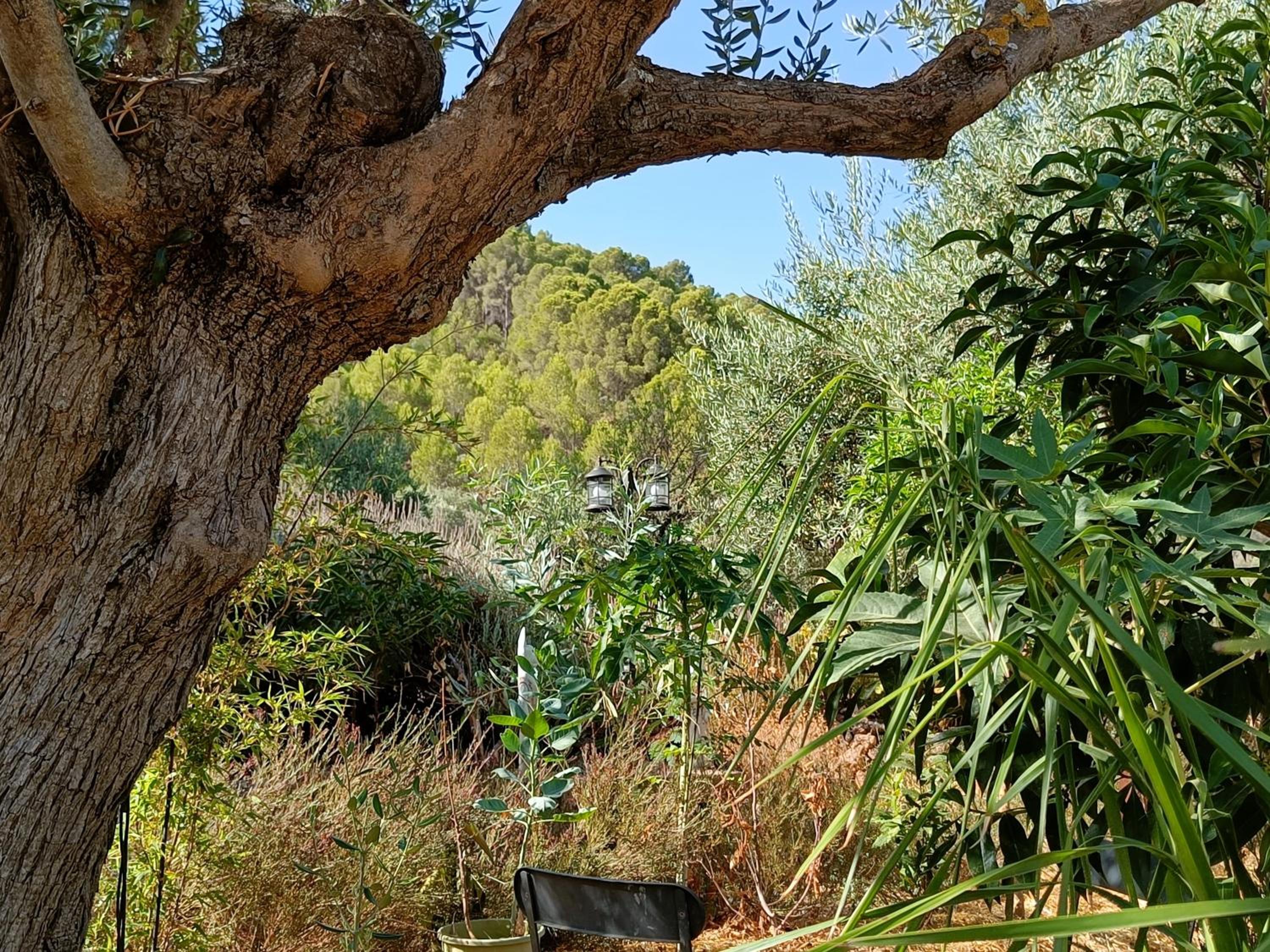 Casa Oasis