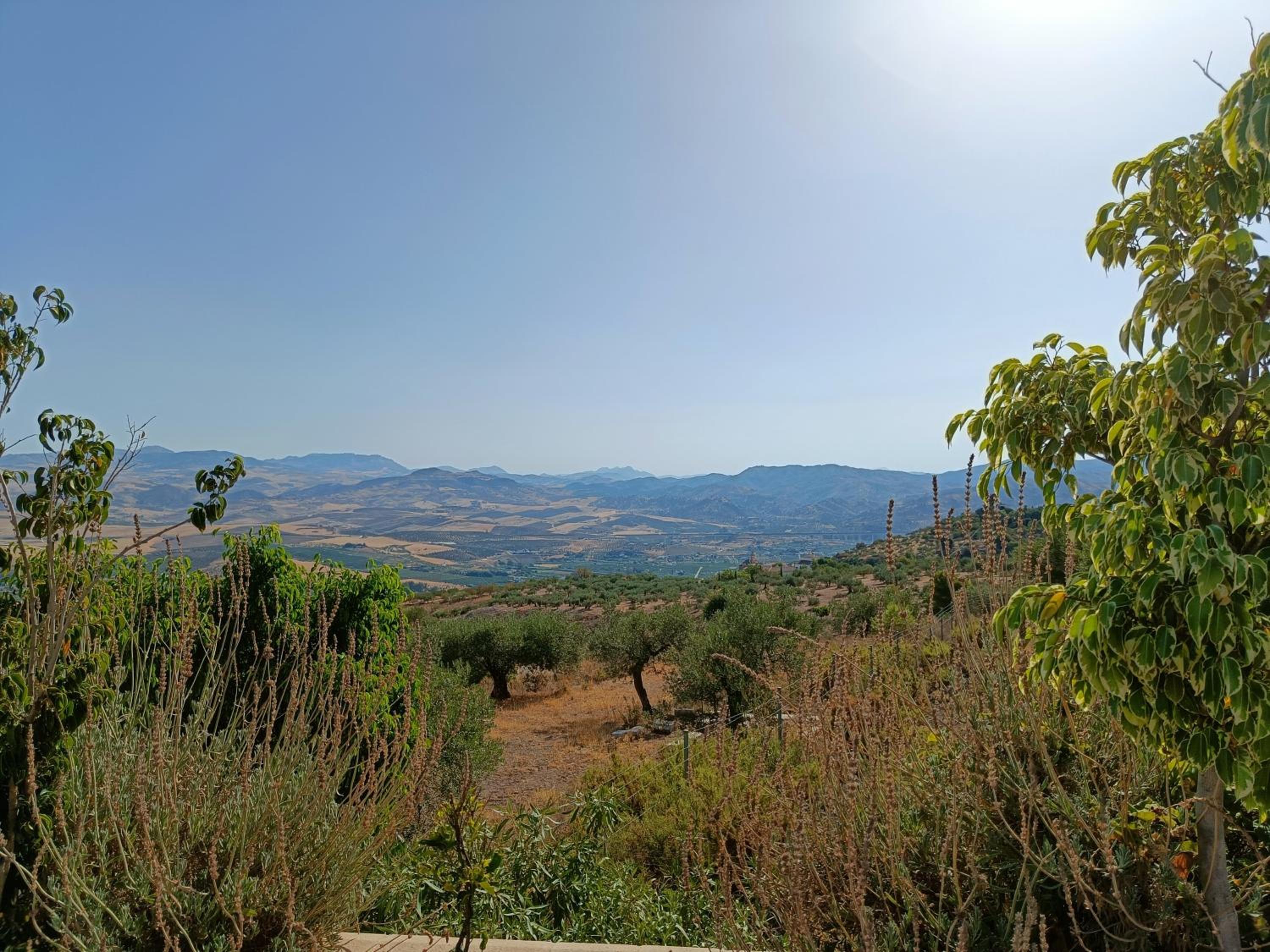 Casa Oasis