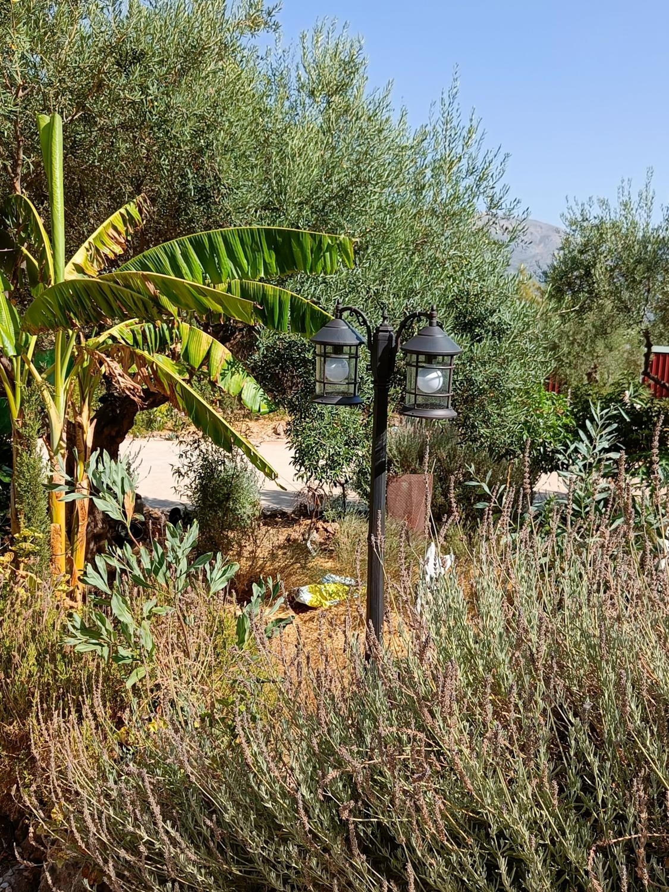 Casa Oasis