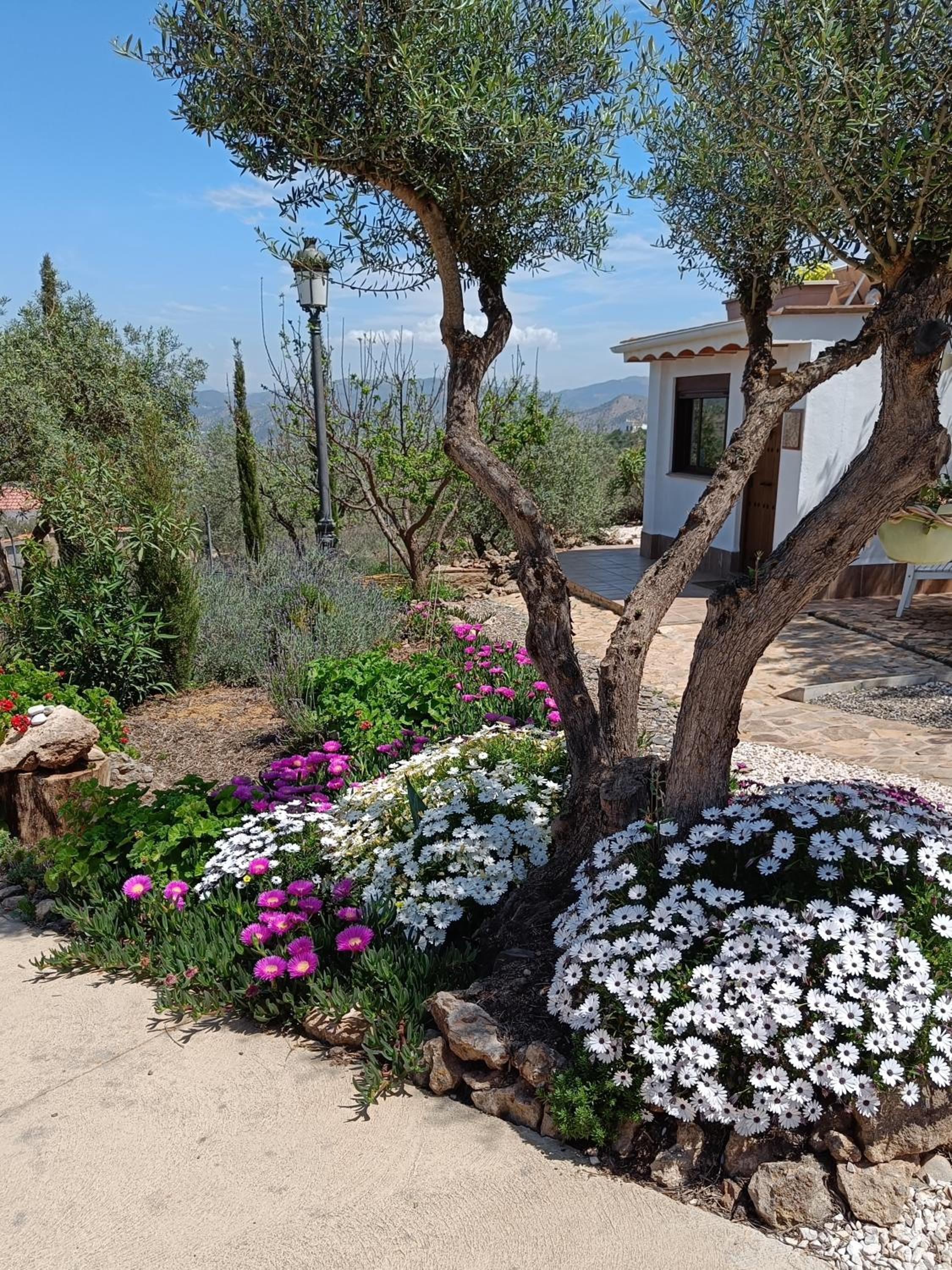 Casa Oasis