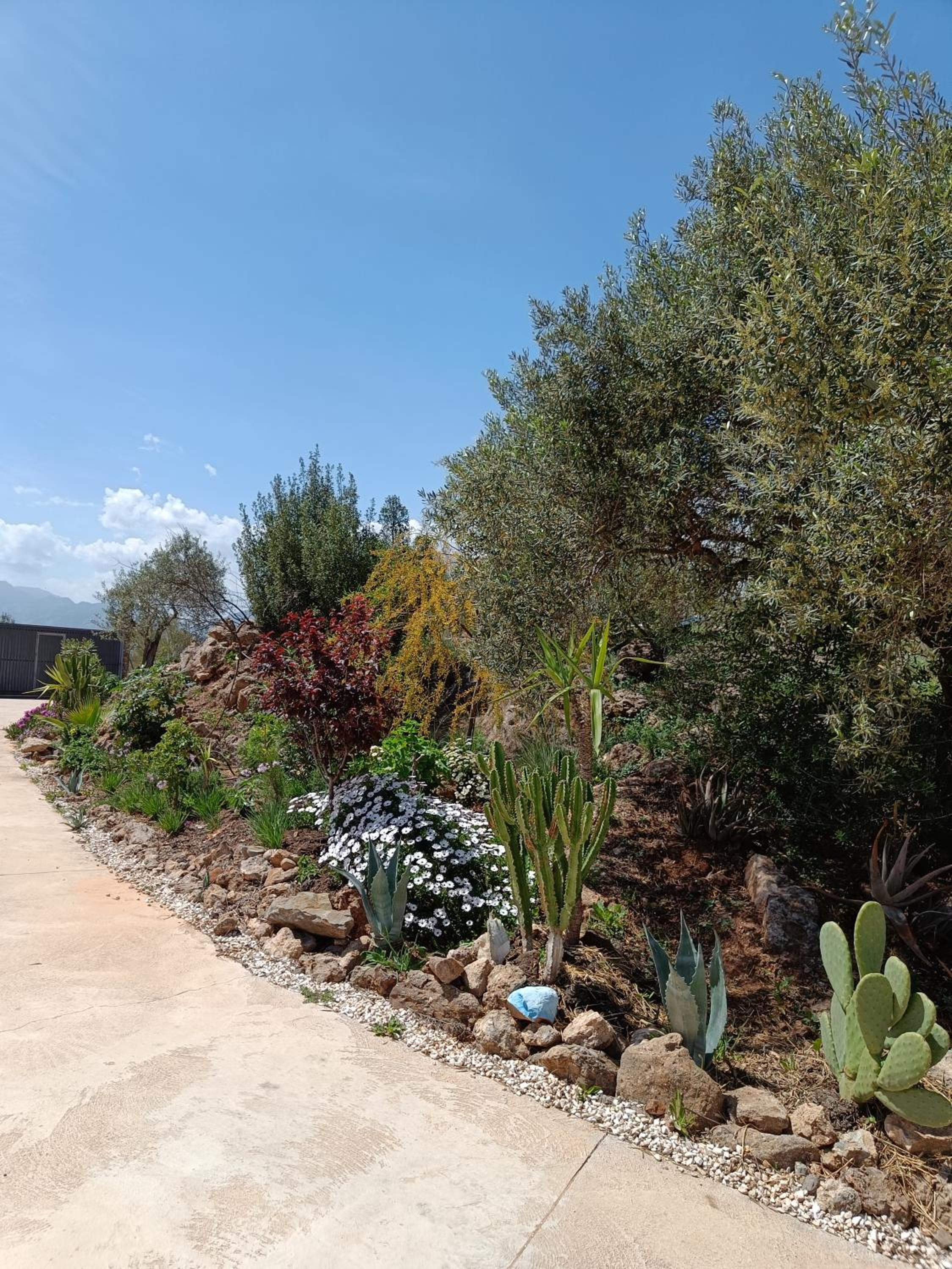 Casa Oasis