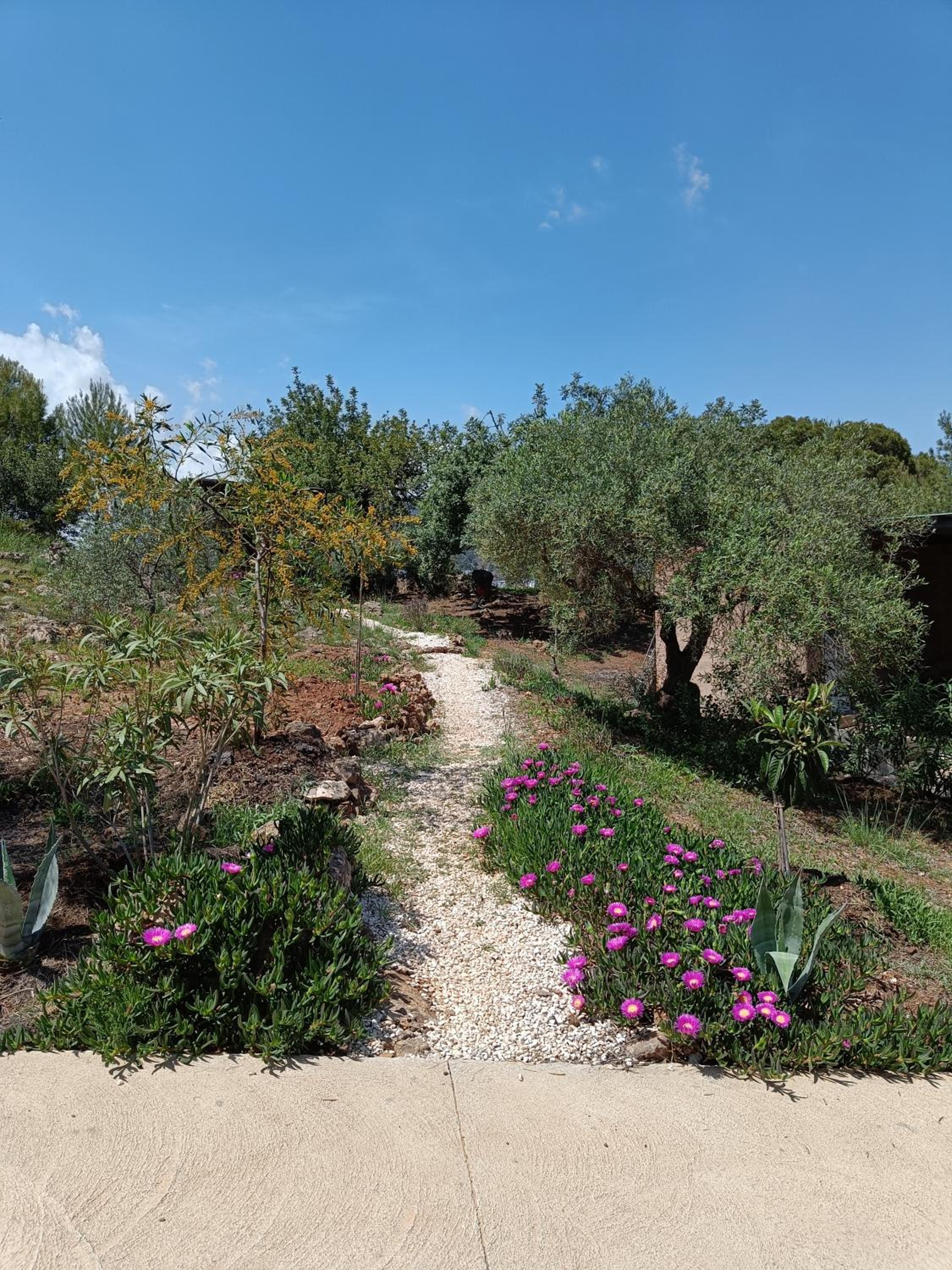 Casa Oasis