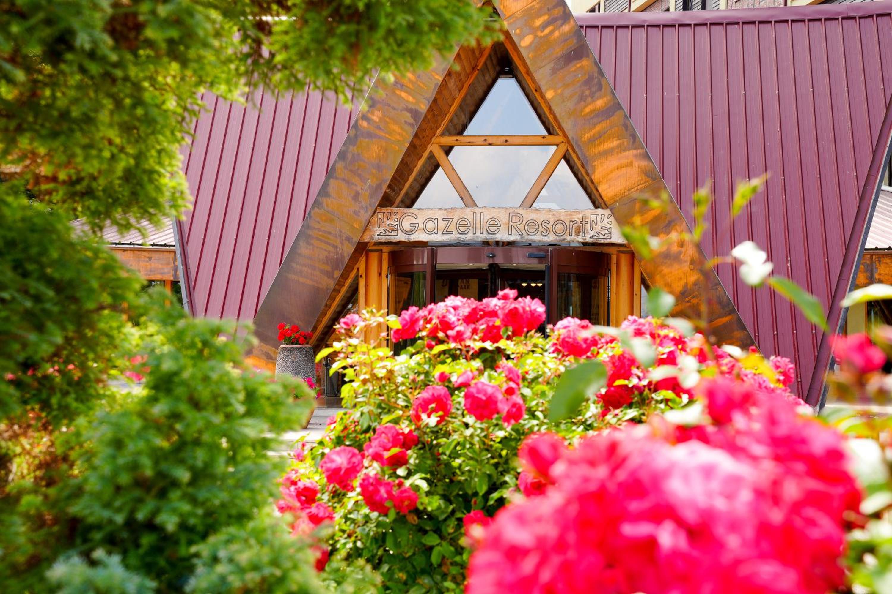 Gazelle Resort & Spa