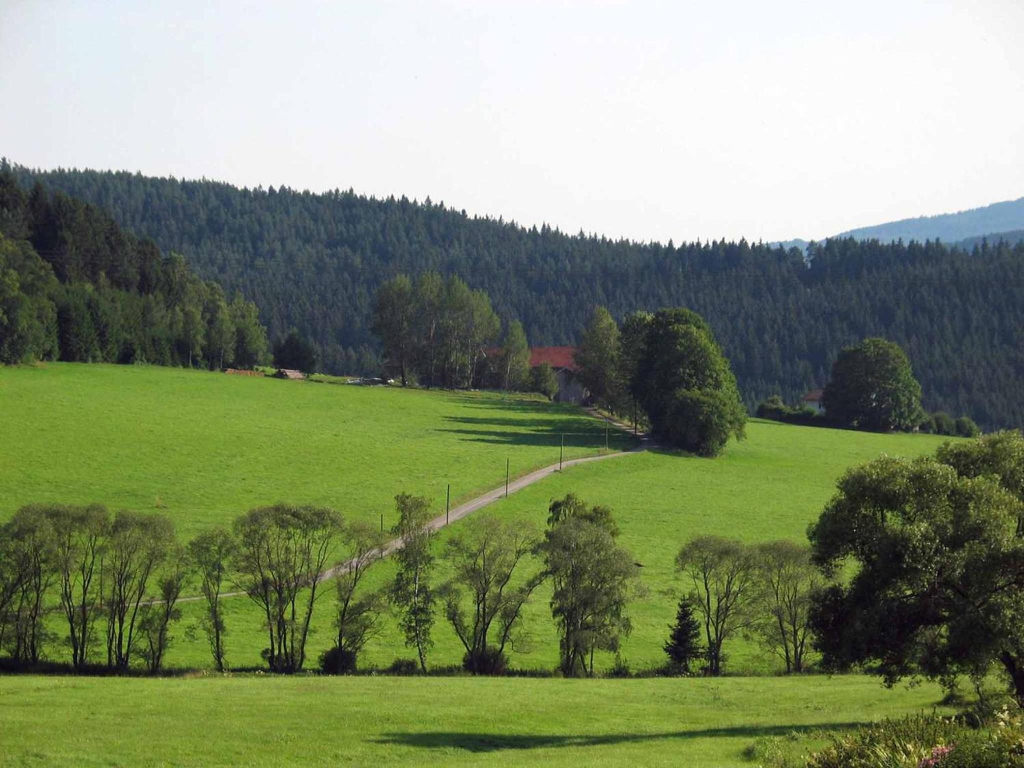 Ferienhaus Meineke