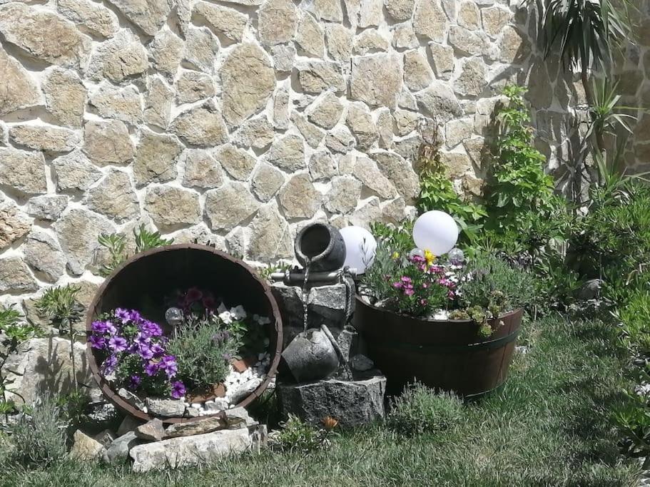 Photo 40