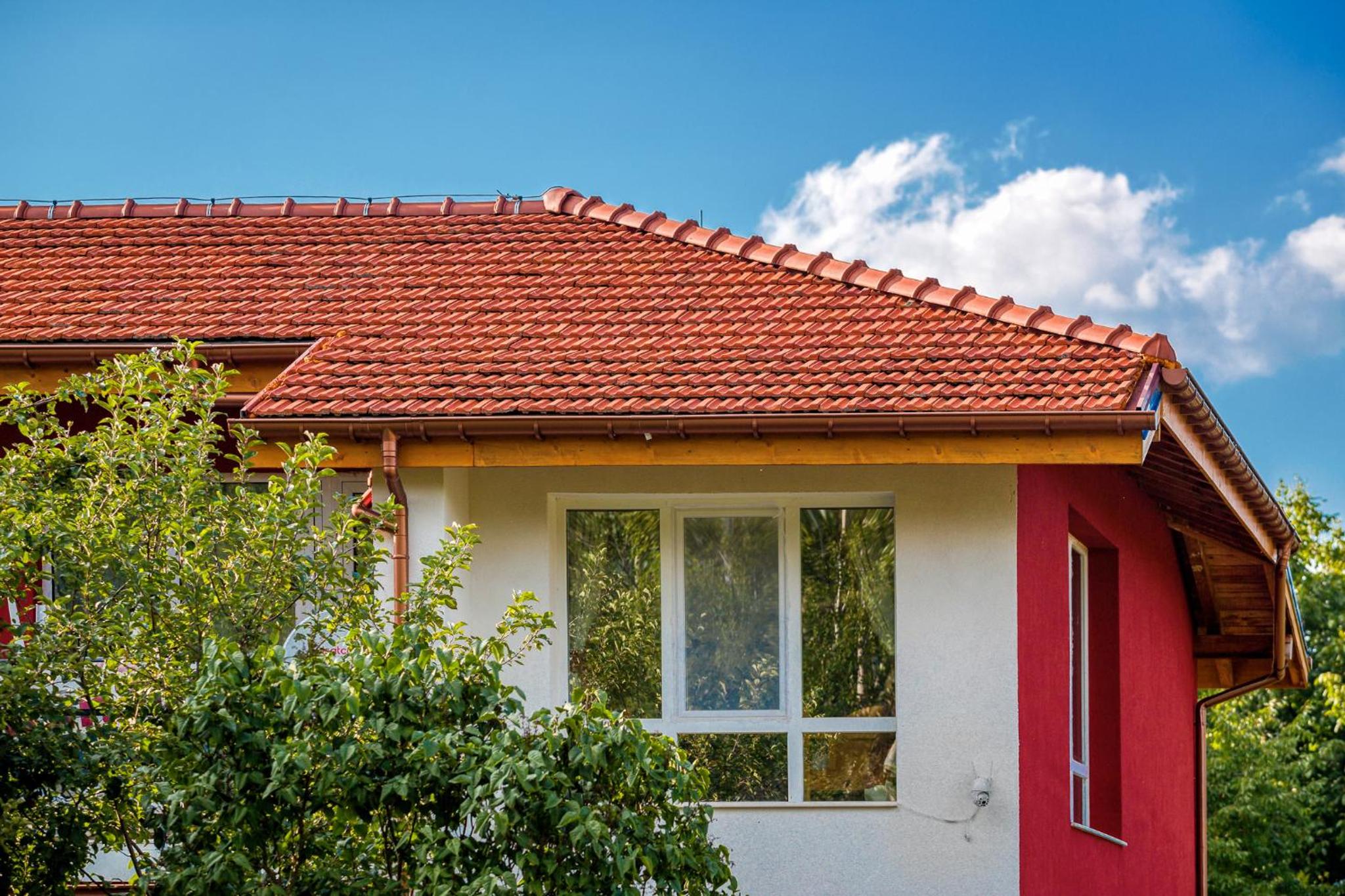 Hotel Mountain View Lodge - Image 1