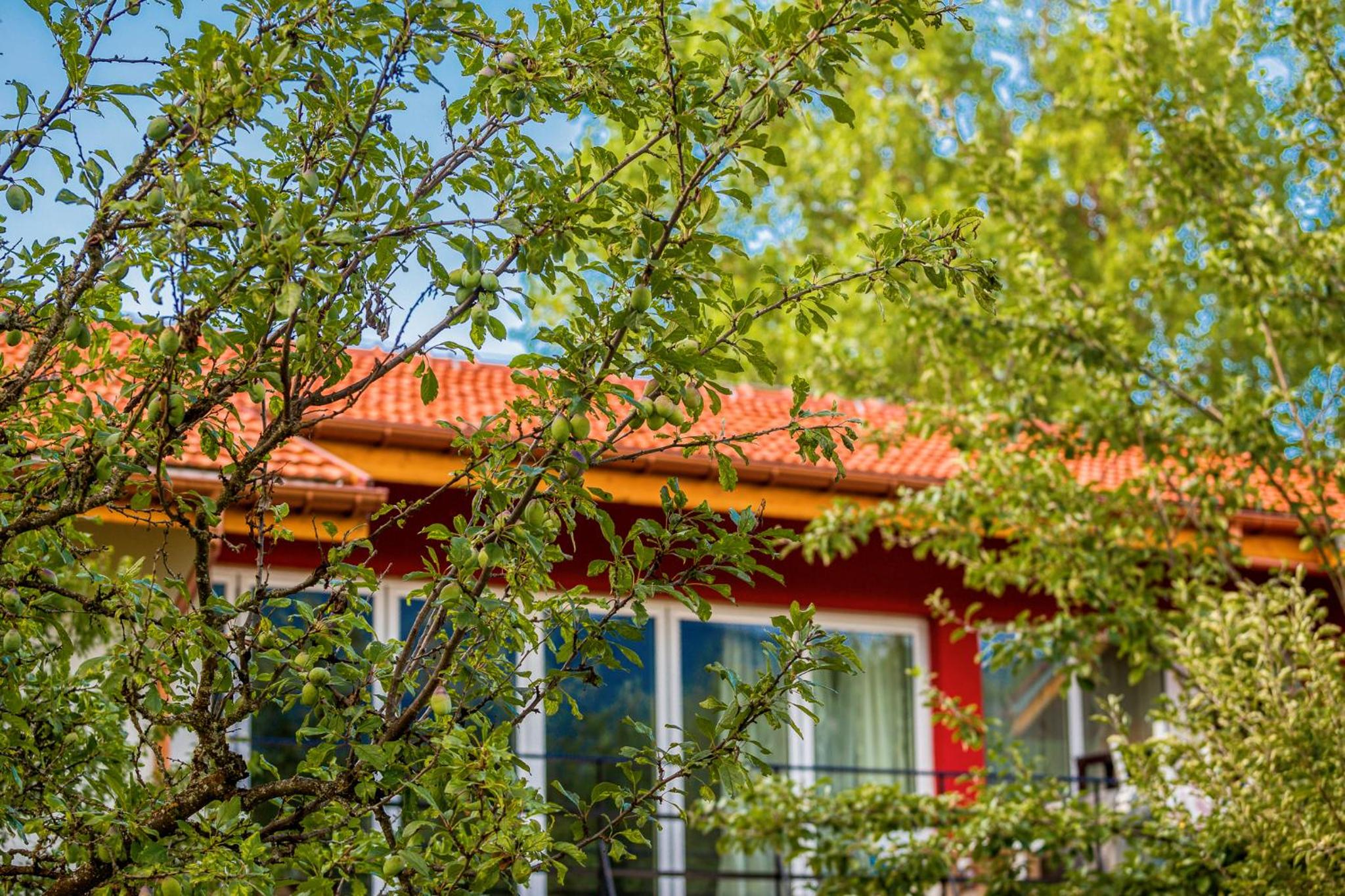 Mountain View Lodge Bulgaria