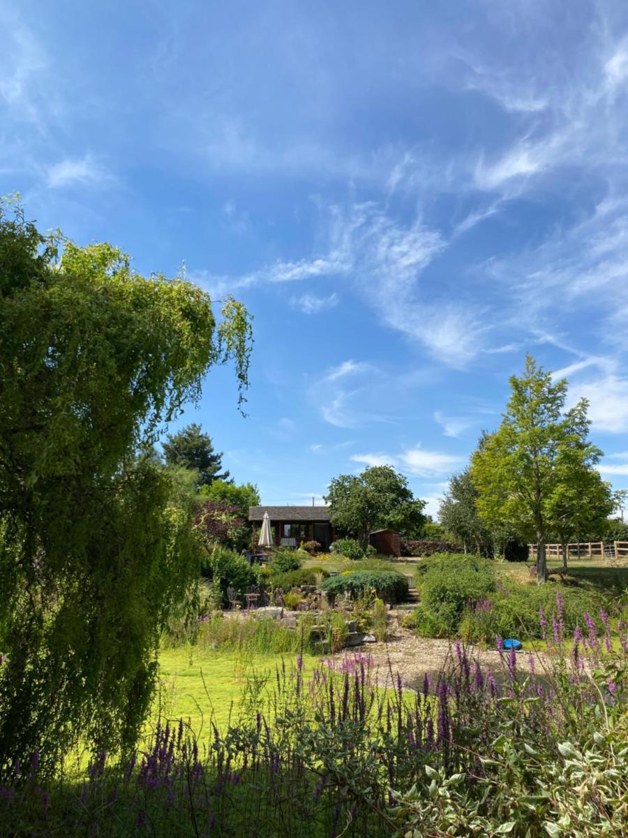 Lakeside Town Farm view 2