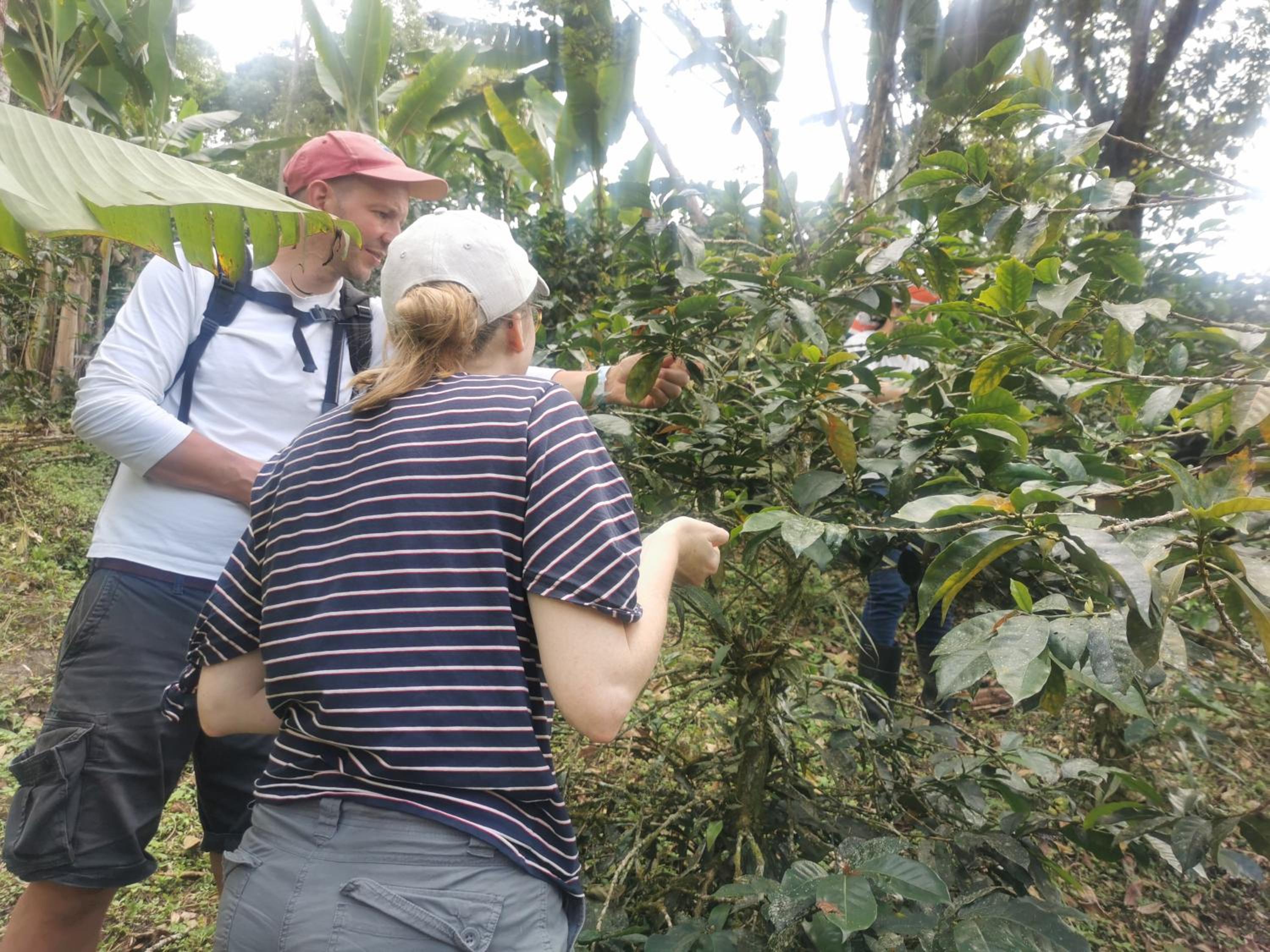 Finca TRADICIONAL EL OTOÑO