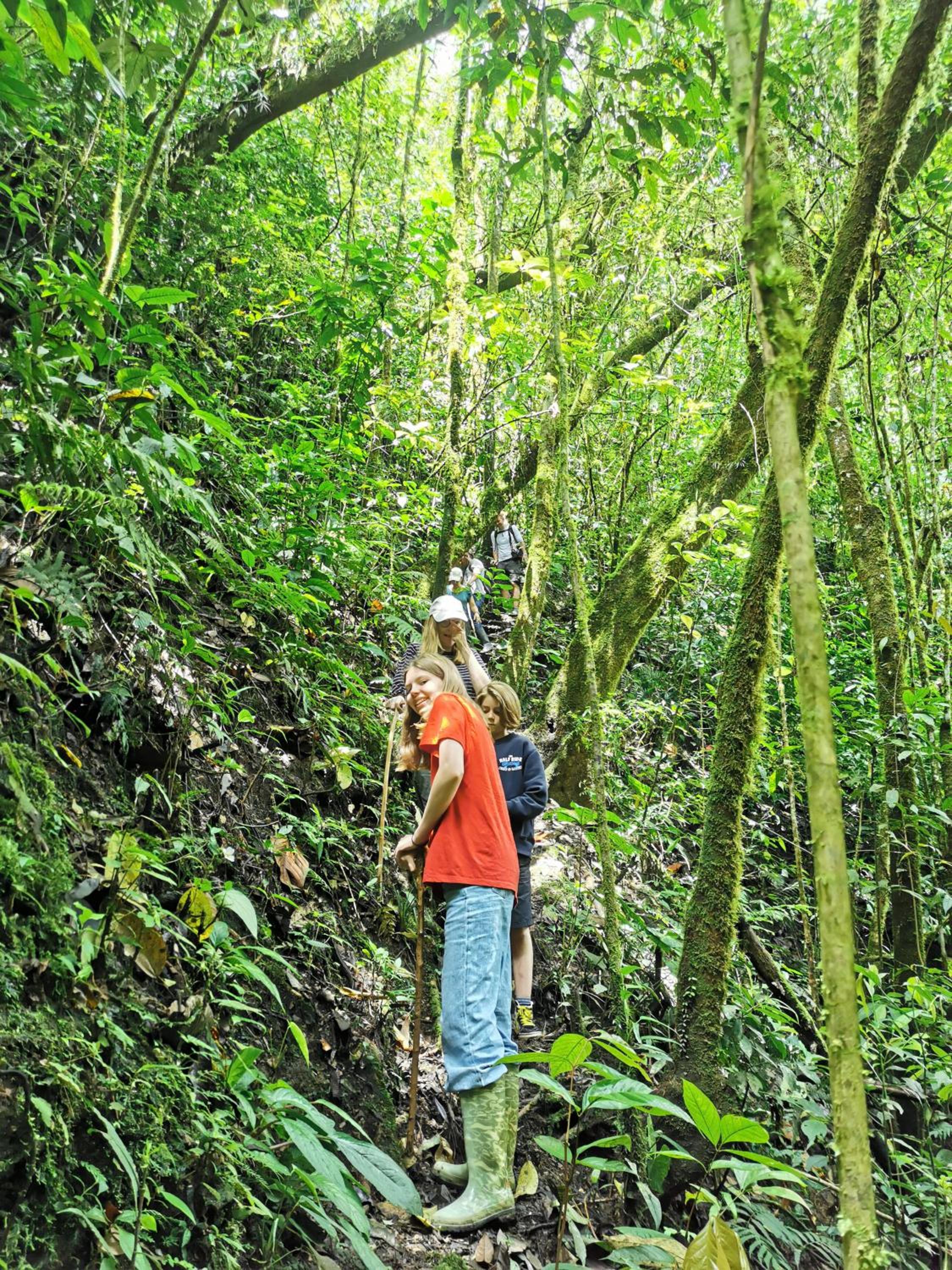 Finca TRADICIONAL EL OTOÑO