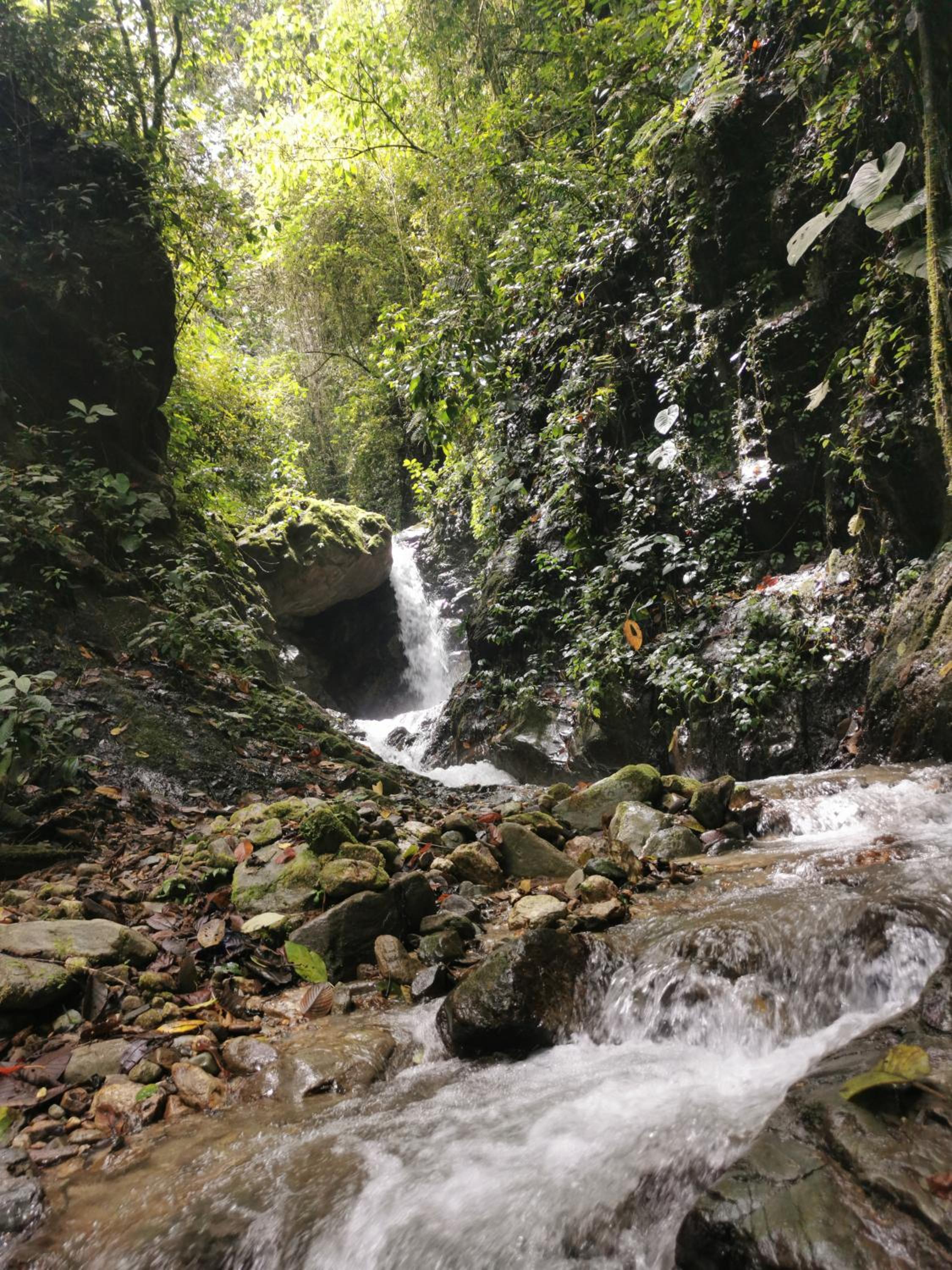 Finca TRADICIONAL EL OTOÑO
