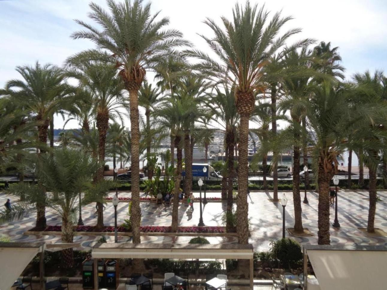 EXPLANADA FLAT en Alicante — other
