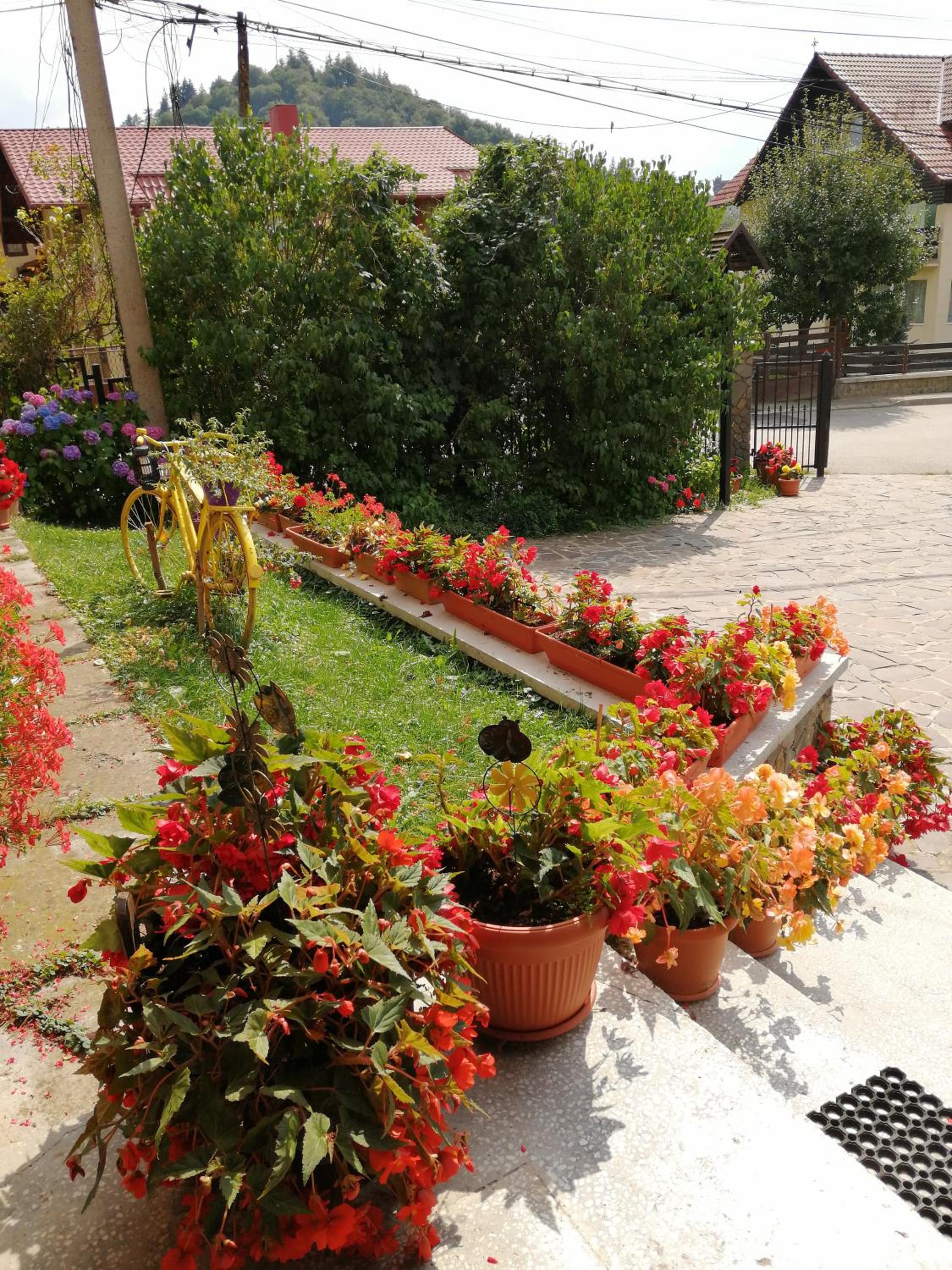 Photo 33
