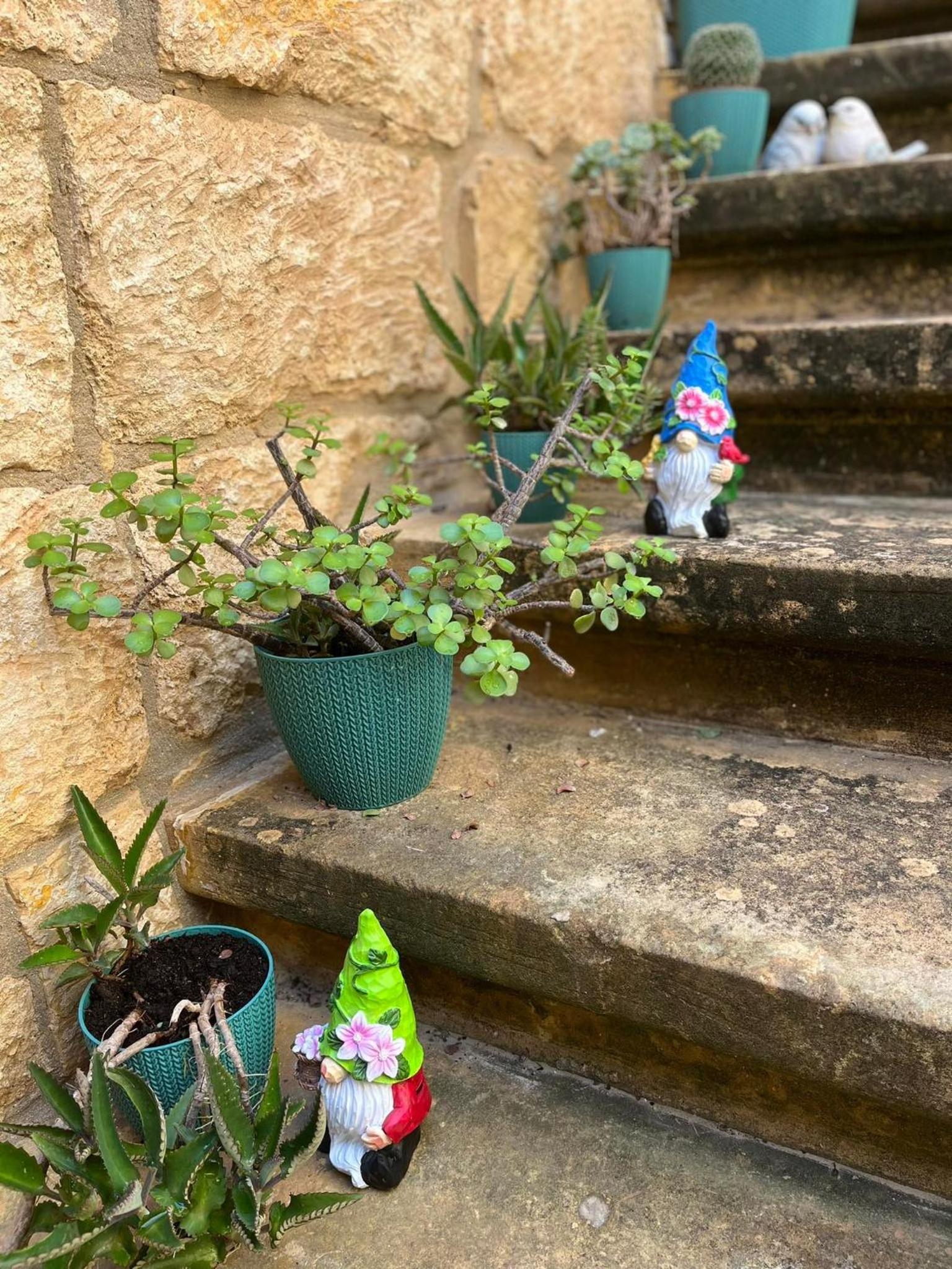 Photo 28