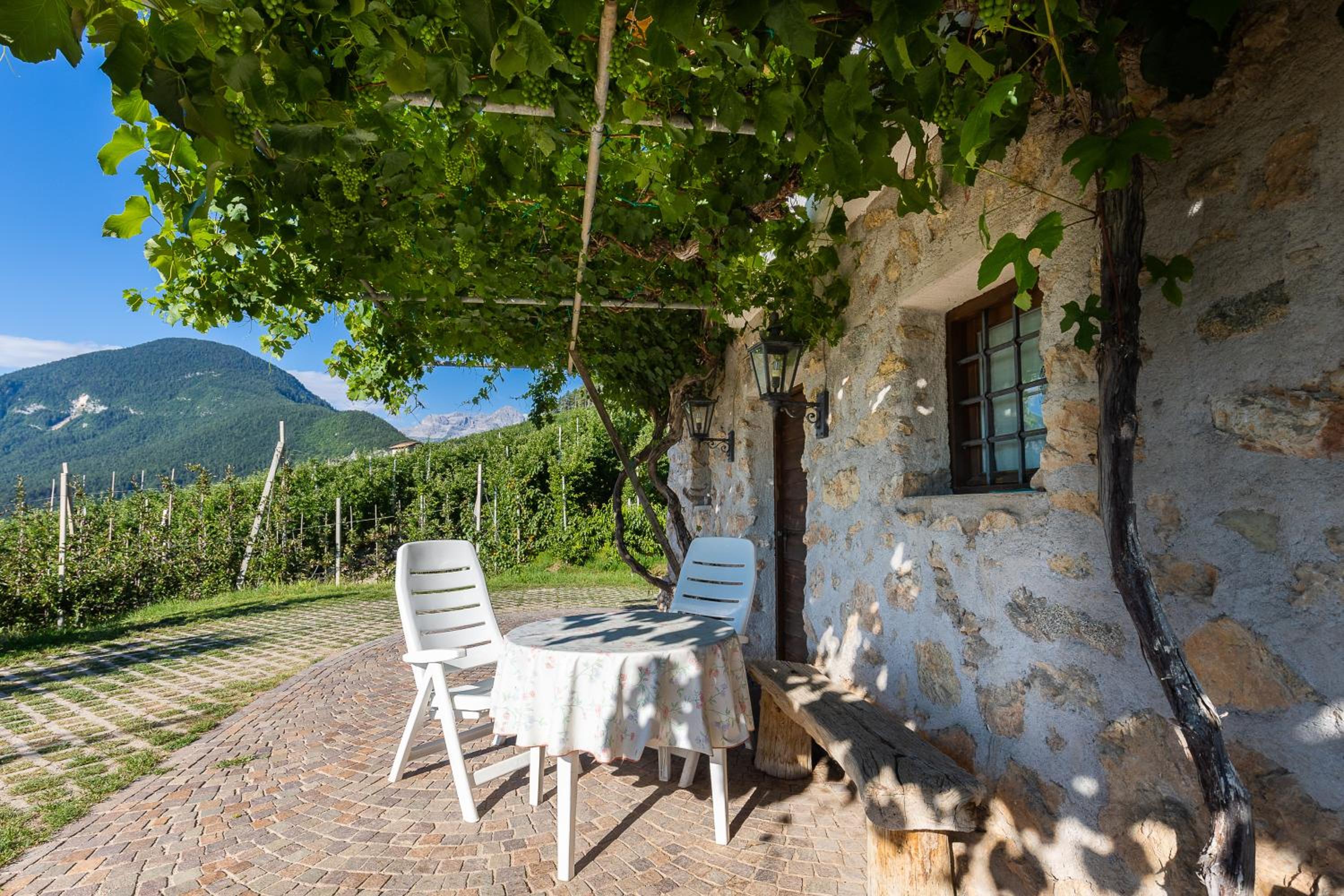 Bait del Hermen - Maso Rustico in aperta campagna view 5