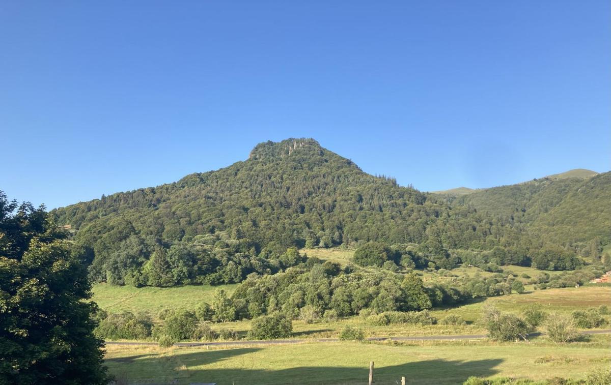 children's play area