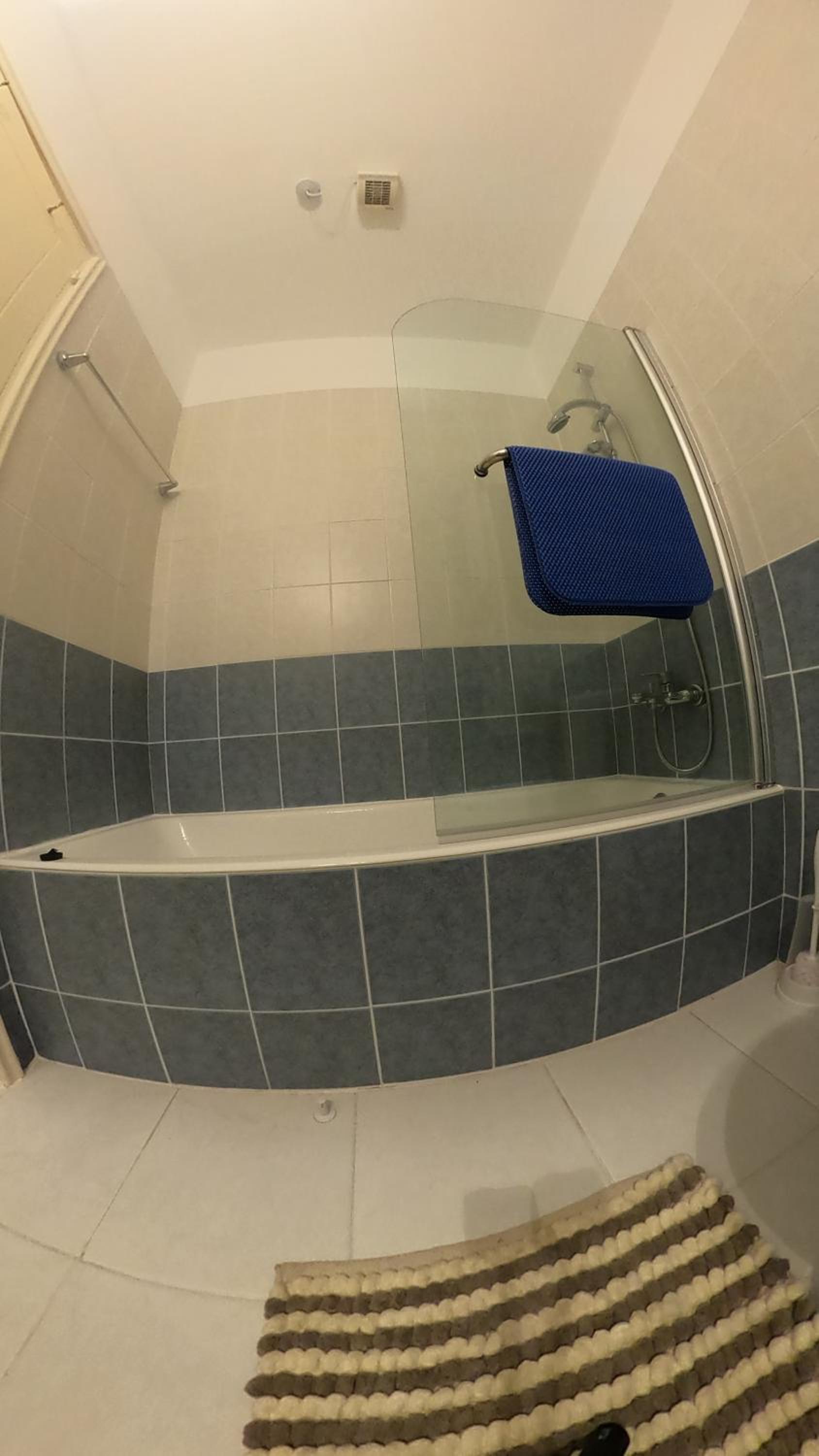 MAYA