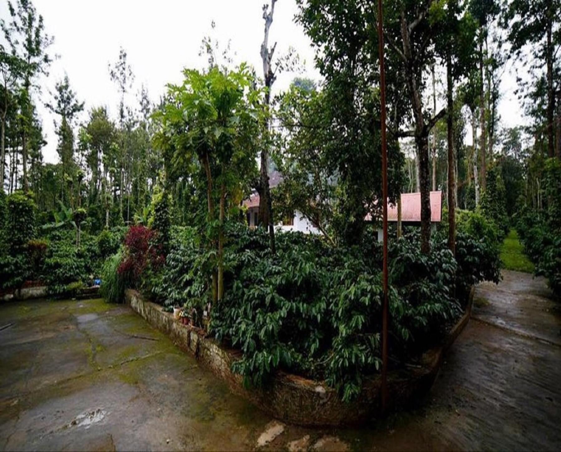 The Outback Coorg Estate by StayApart view 2