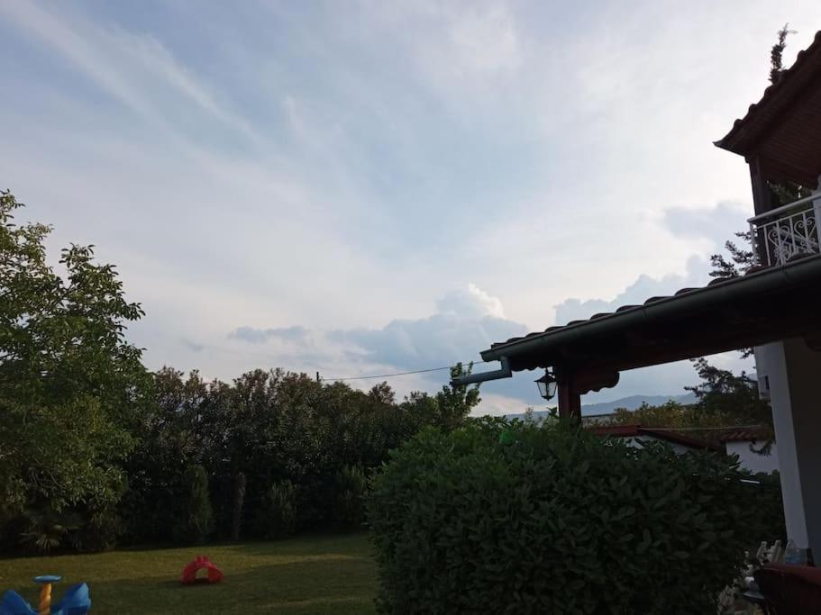 Photo 53