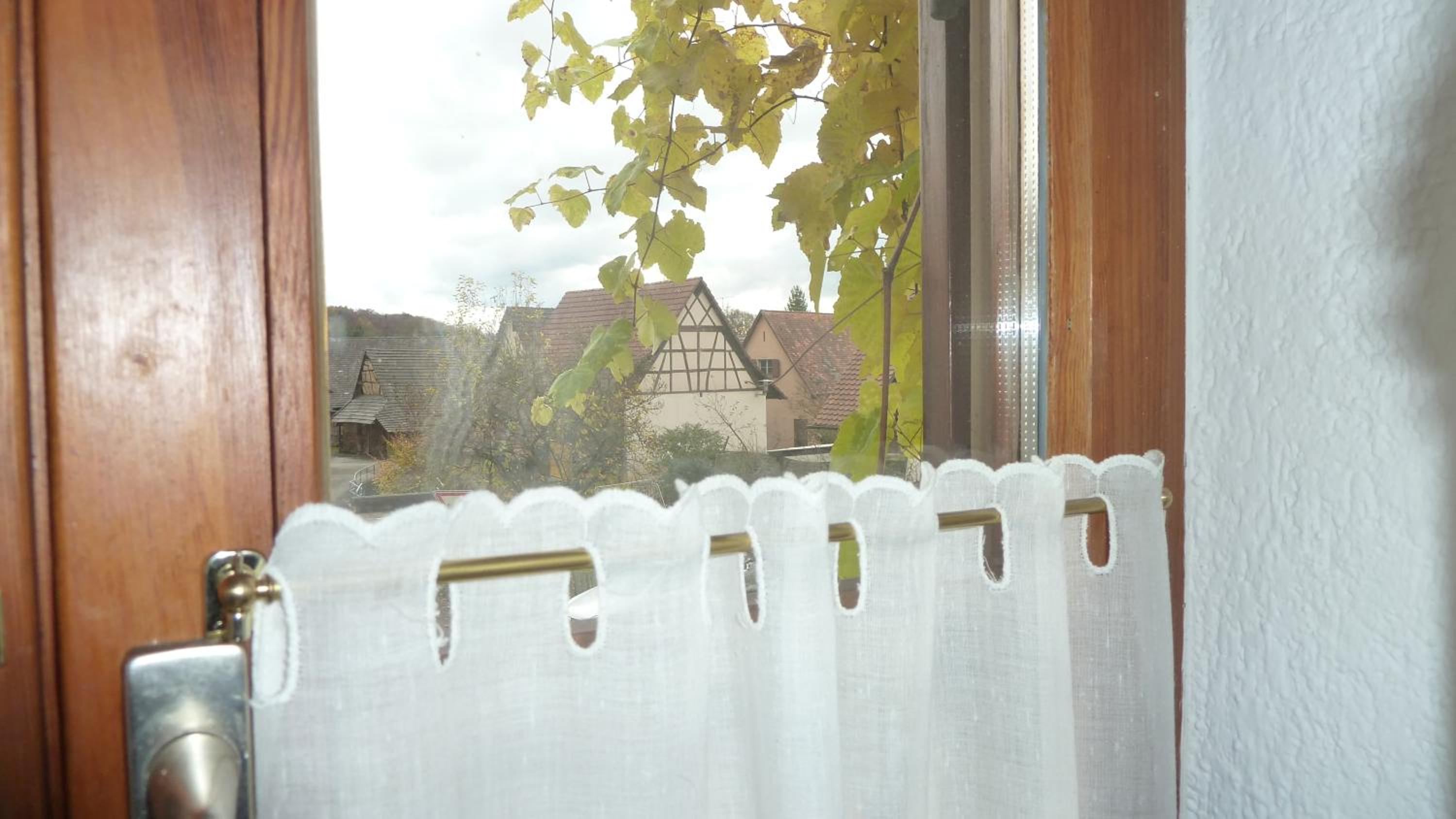 Ferienwohnung Ute