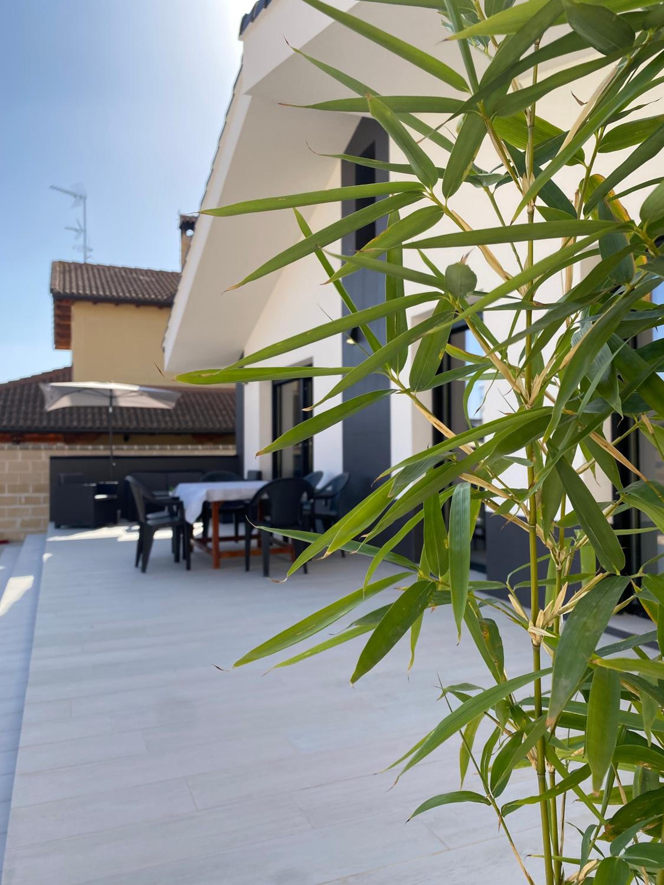 La Palmera del Sotillo