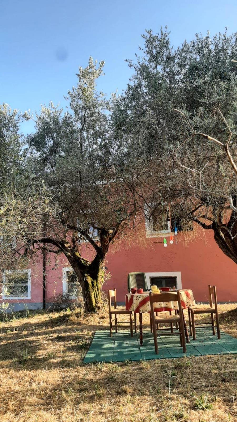 Cascina delle Rose view 2