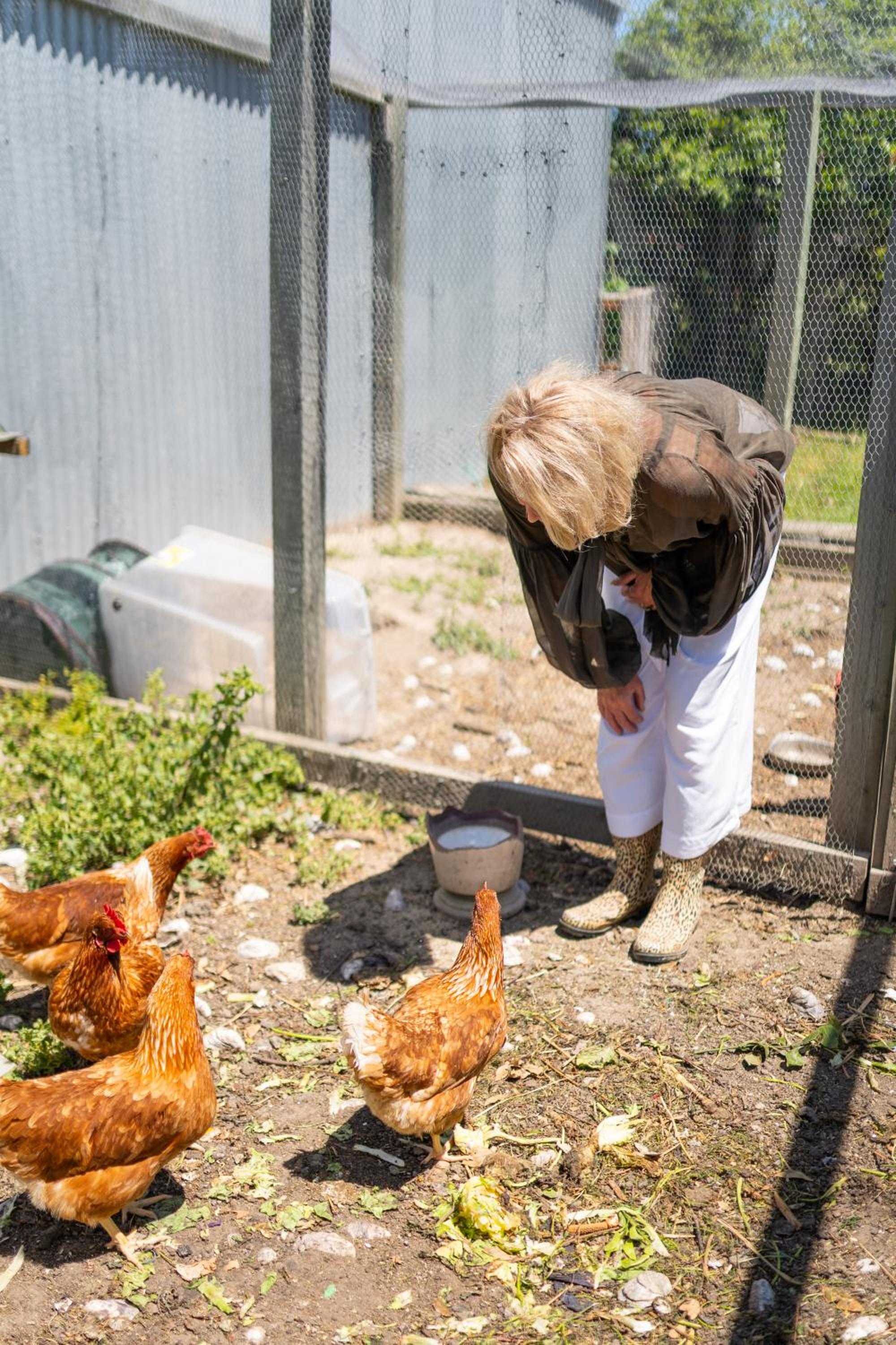 Photo 22