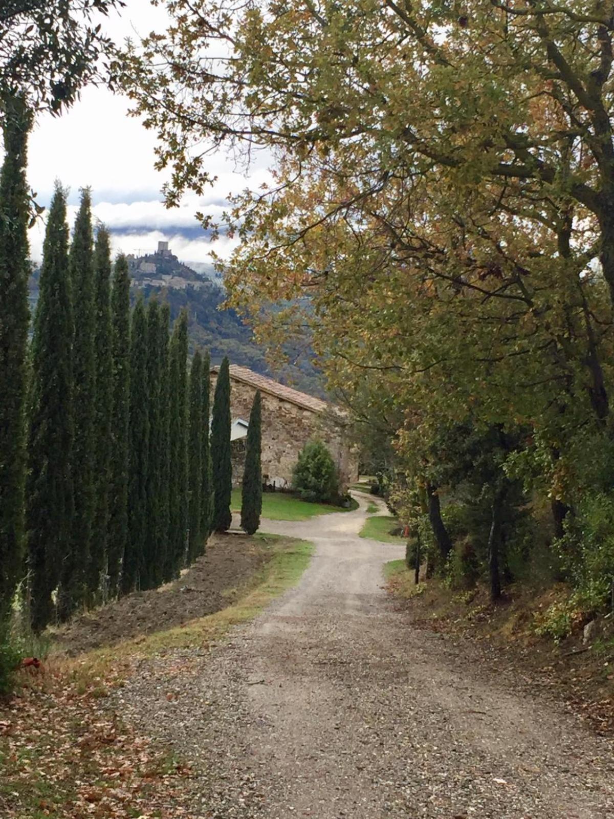 Agriturismo Le Querciole in Val d'Orcia