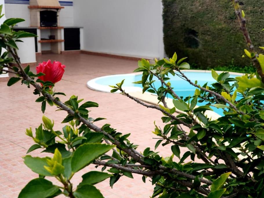 LOVELY BEACH HOUSE moradia V4 com piscina view 3
