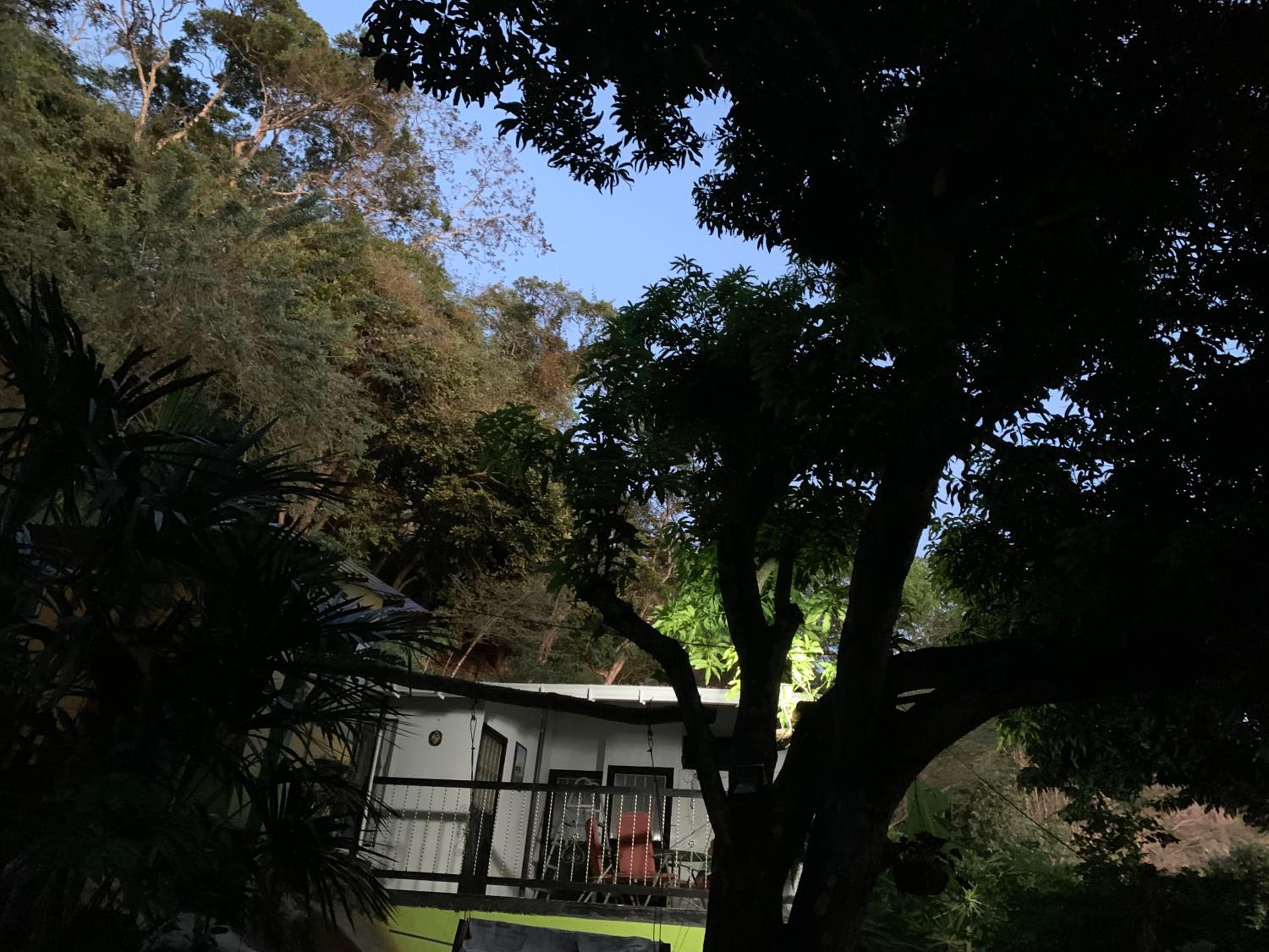 Finca Peñitas