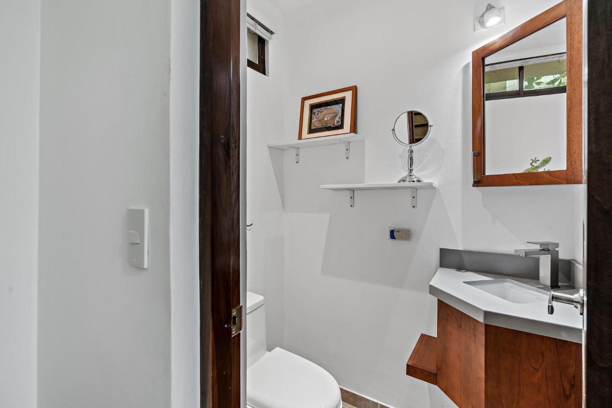 Photo 12