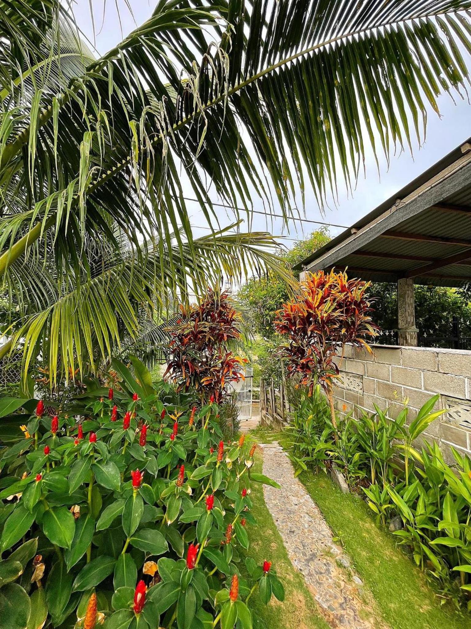 BinhYen Homestay view 3