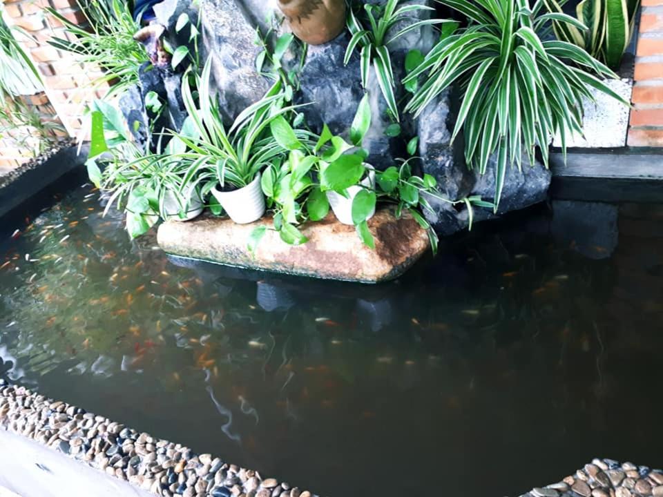Photo 45