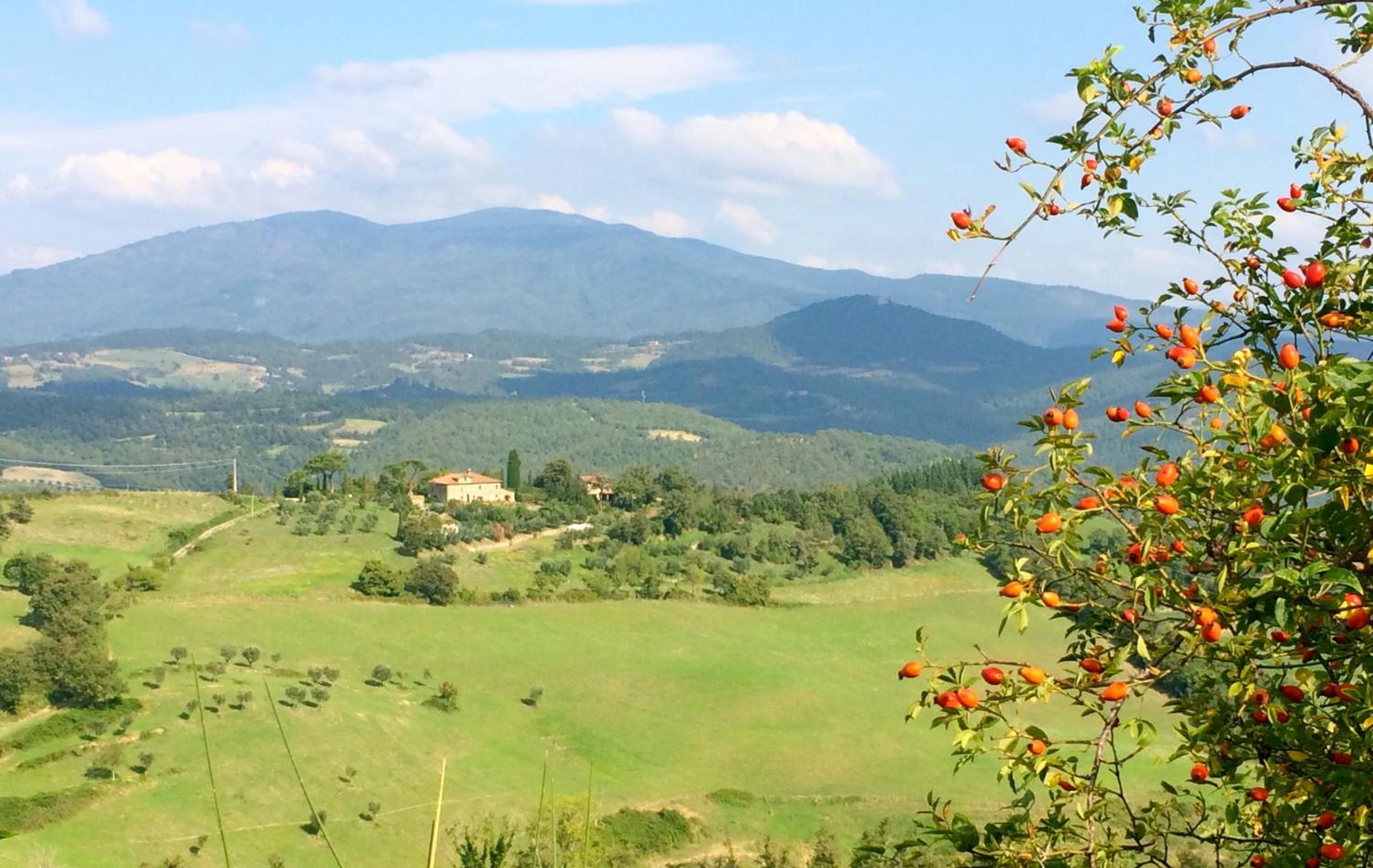 Relais Il Pozzeto