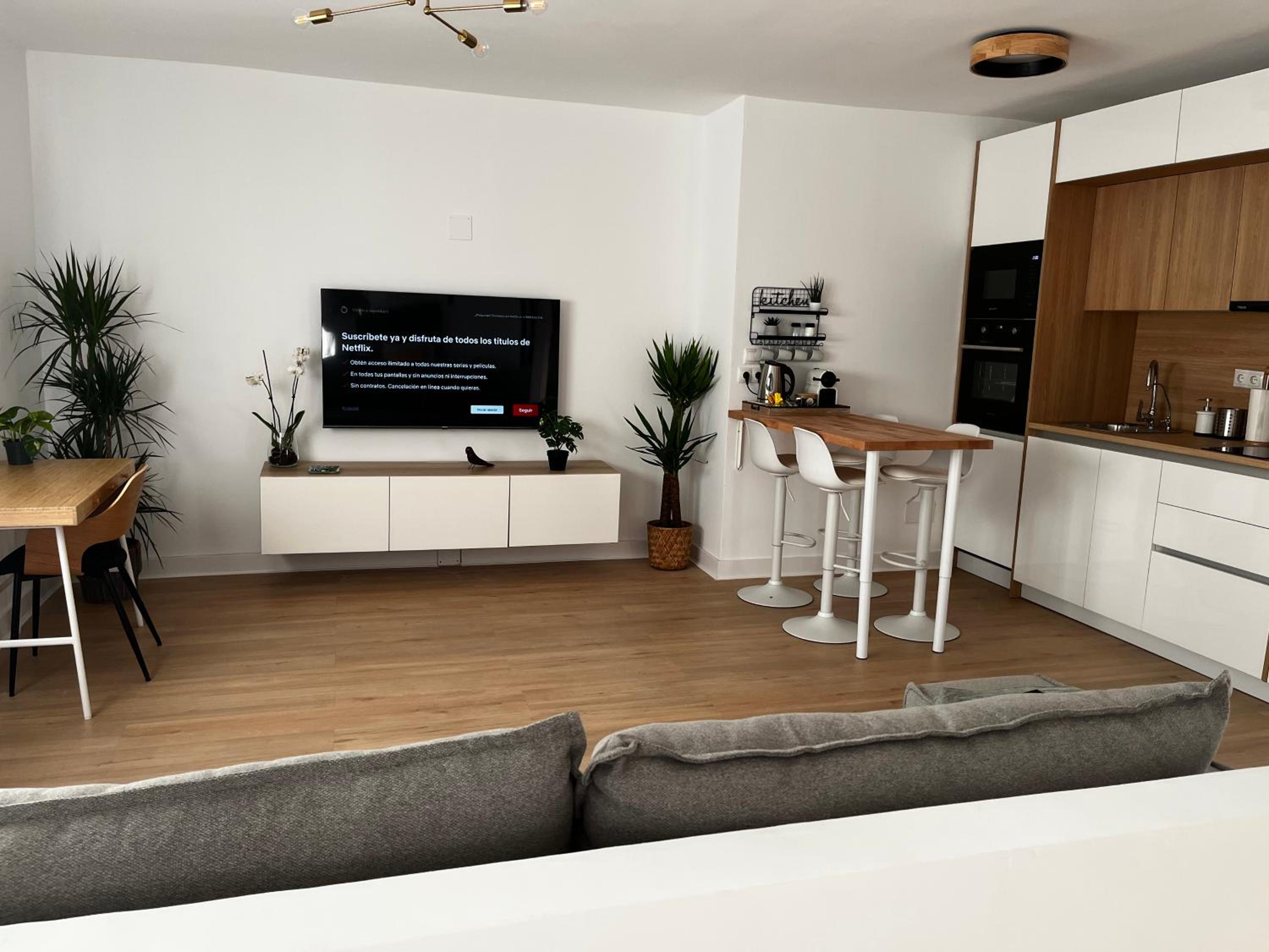 Malaga Vacations - Wonderful Loft, parking free V - Property Image 3