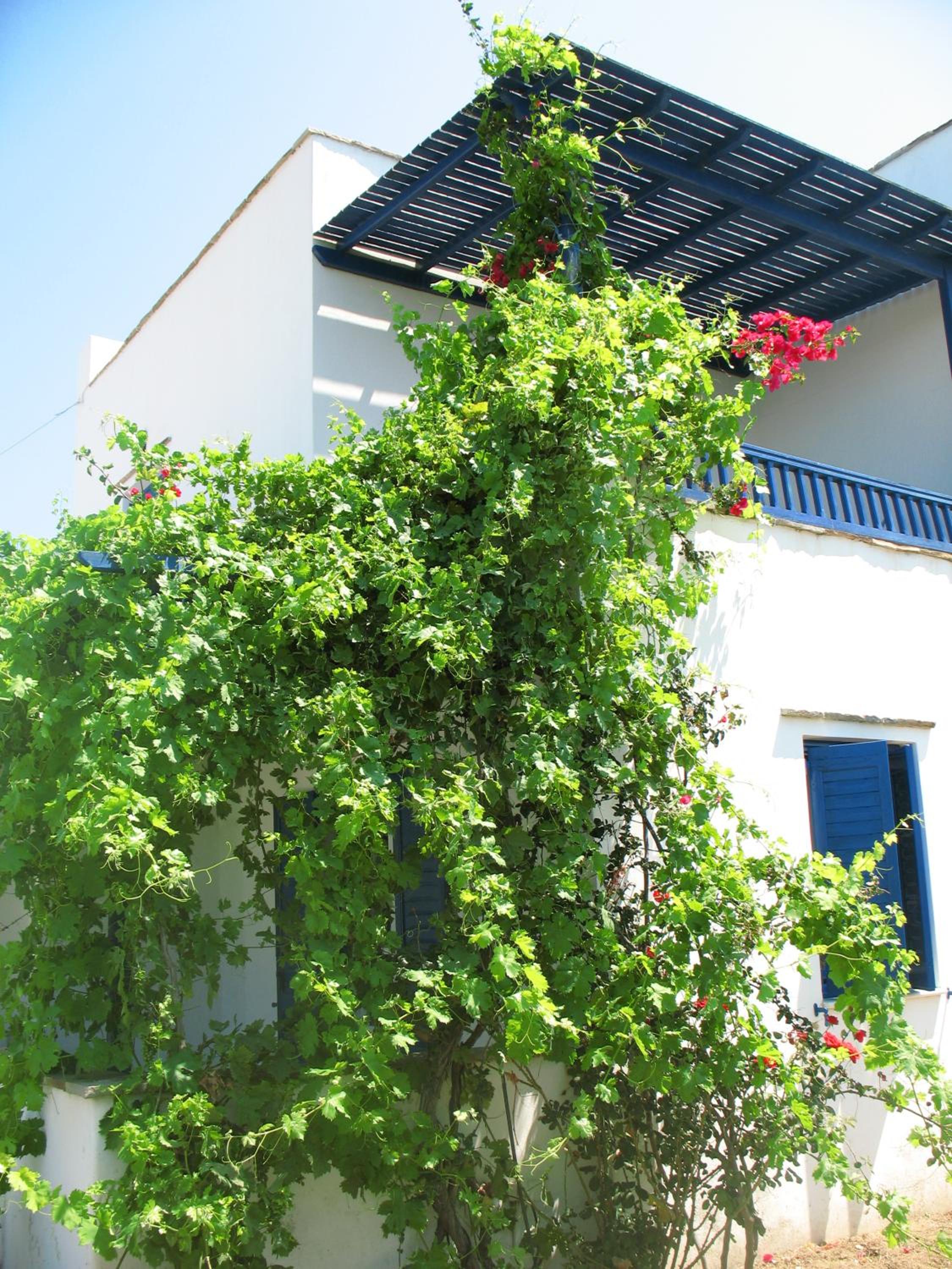 Mavromatis Studios view 2